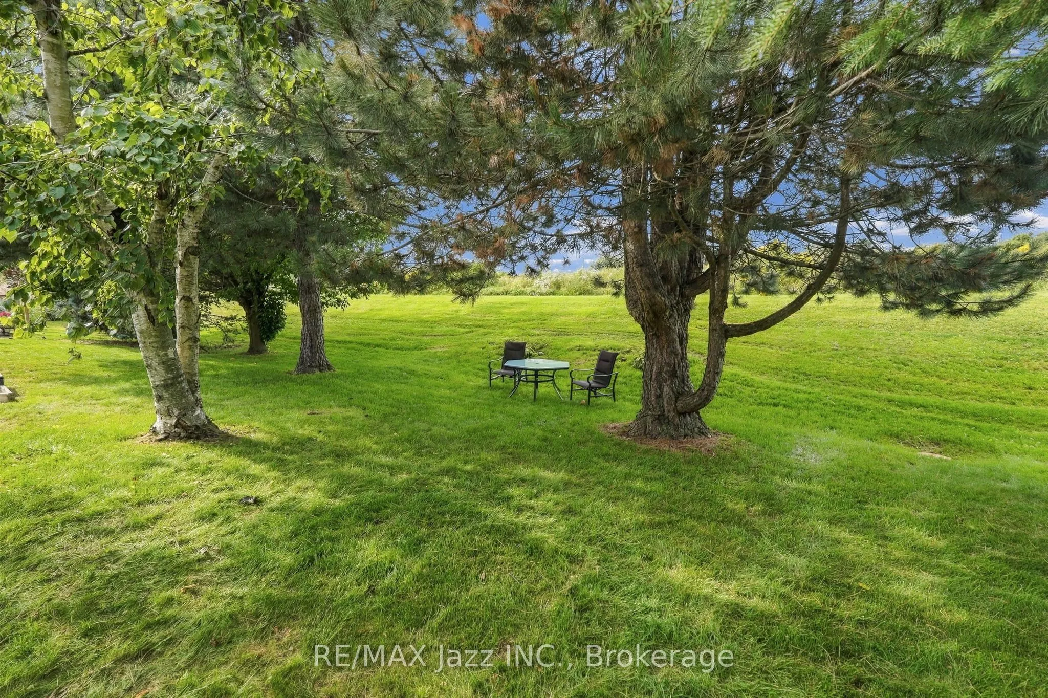 40 Wilmot Trail