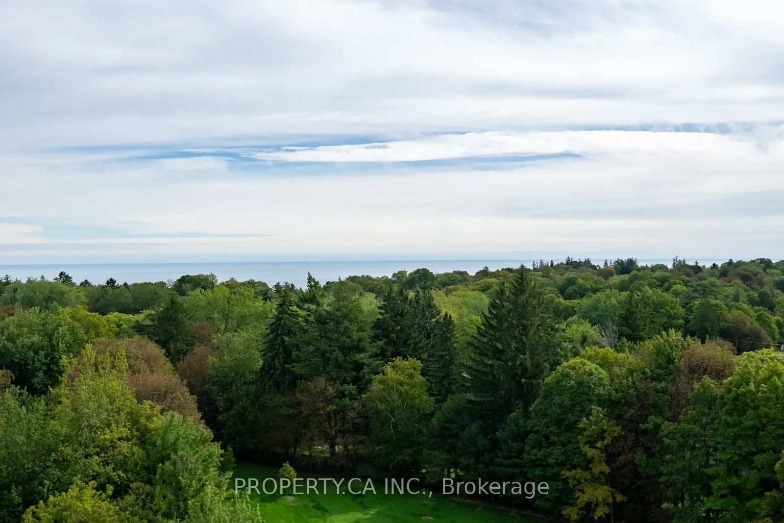 3311 Kingston Road #1111