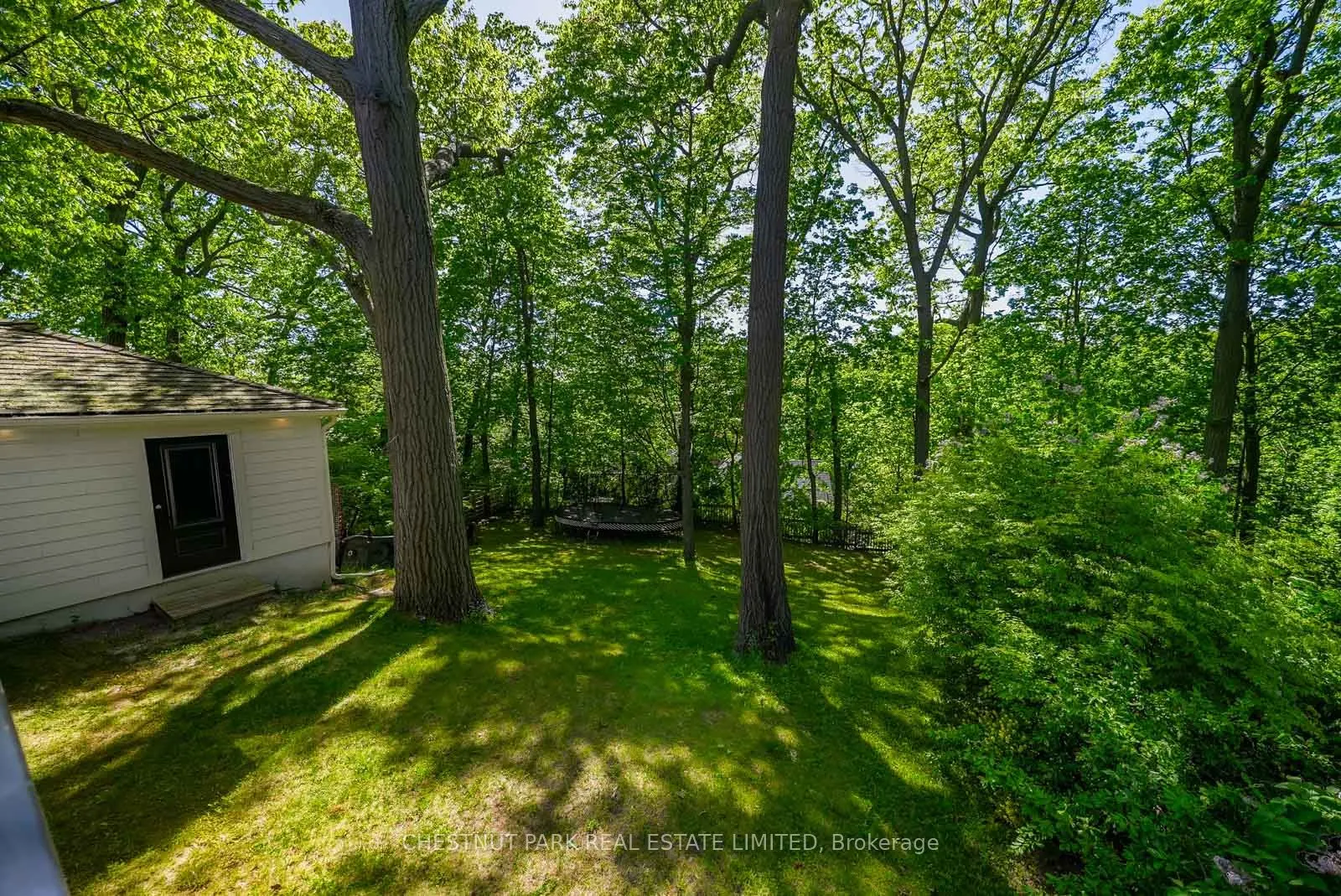 56 Pine Crescent