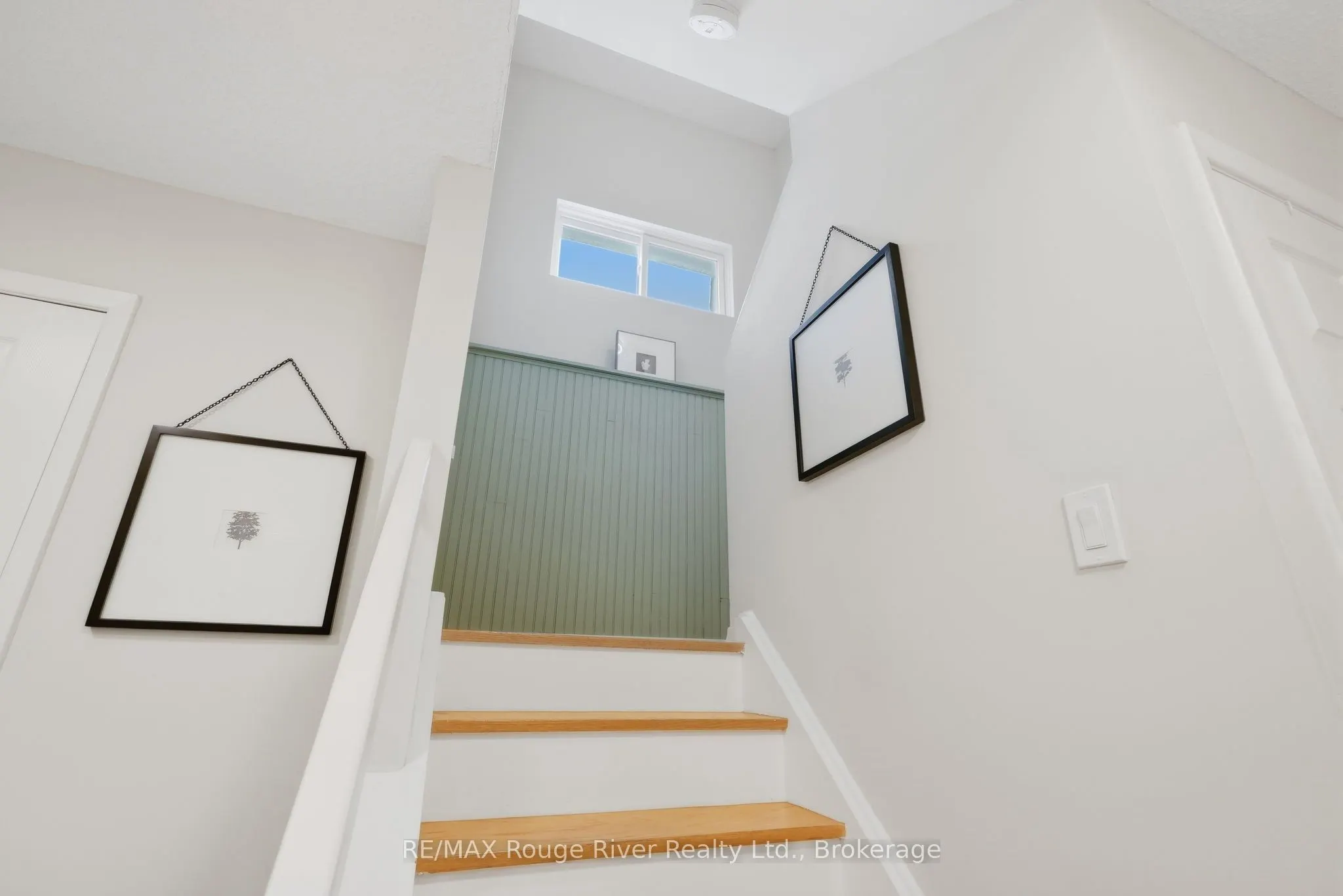 313 Lupin Drive