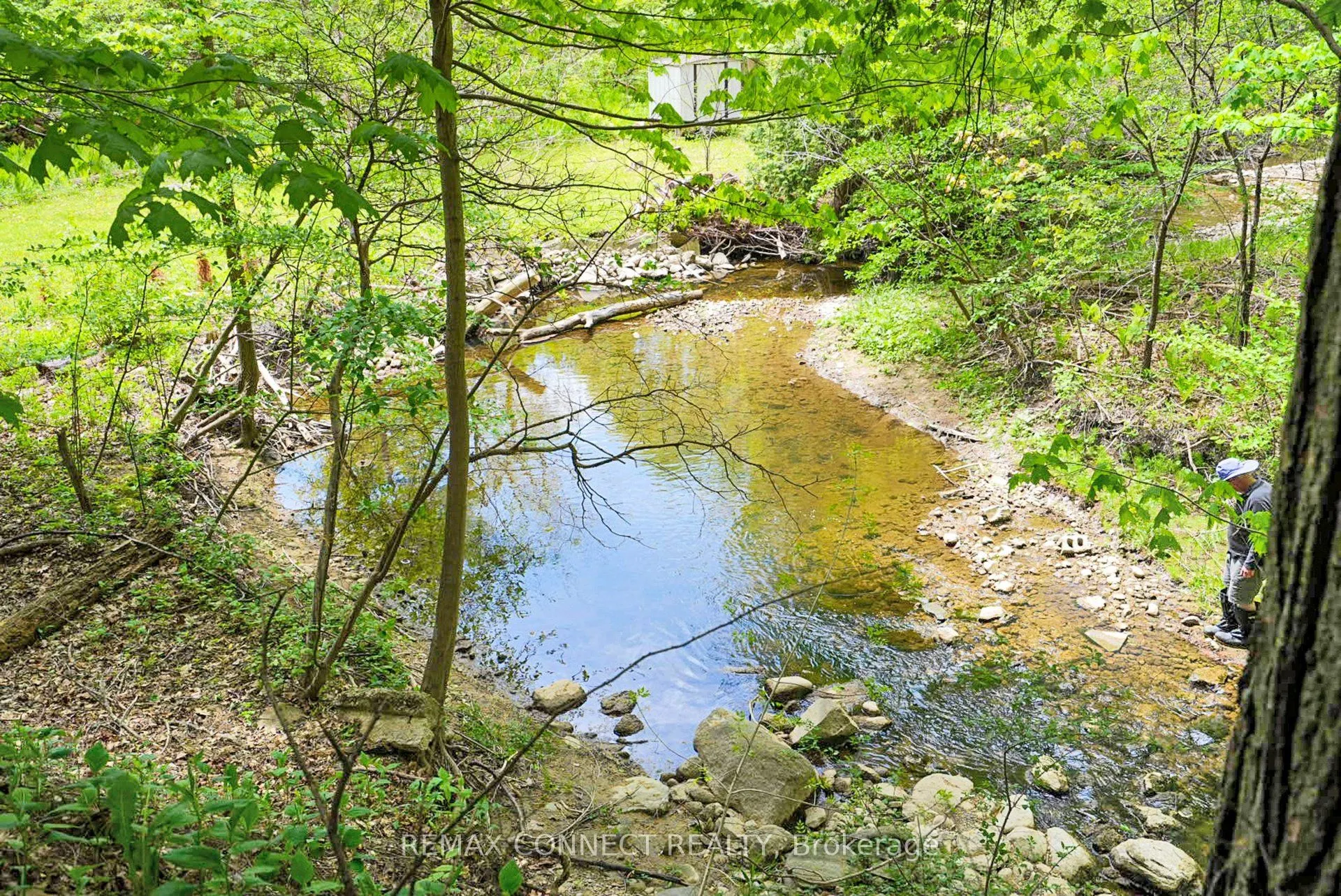 1436 Highbush Trail