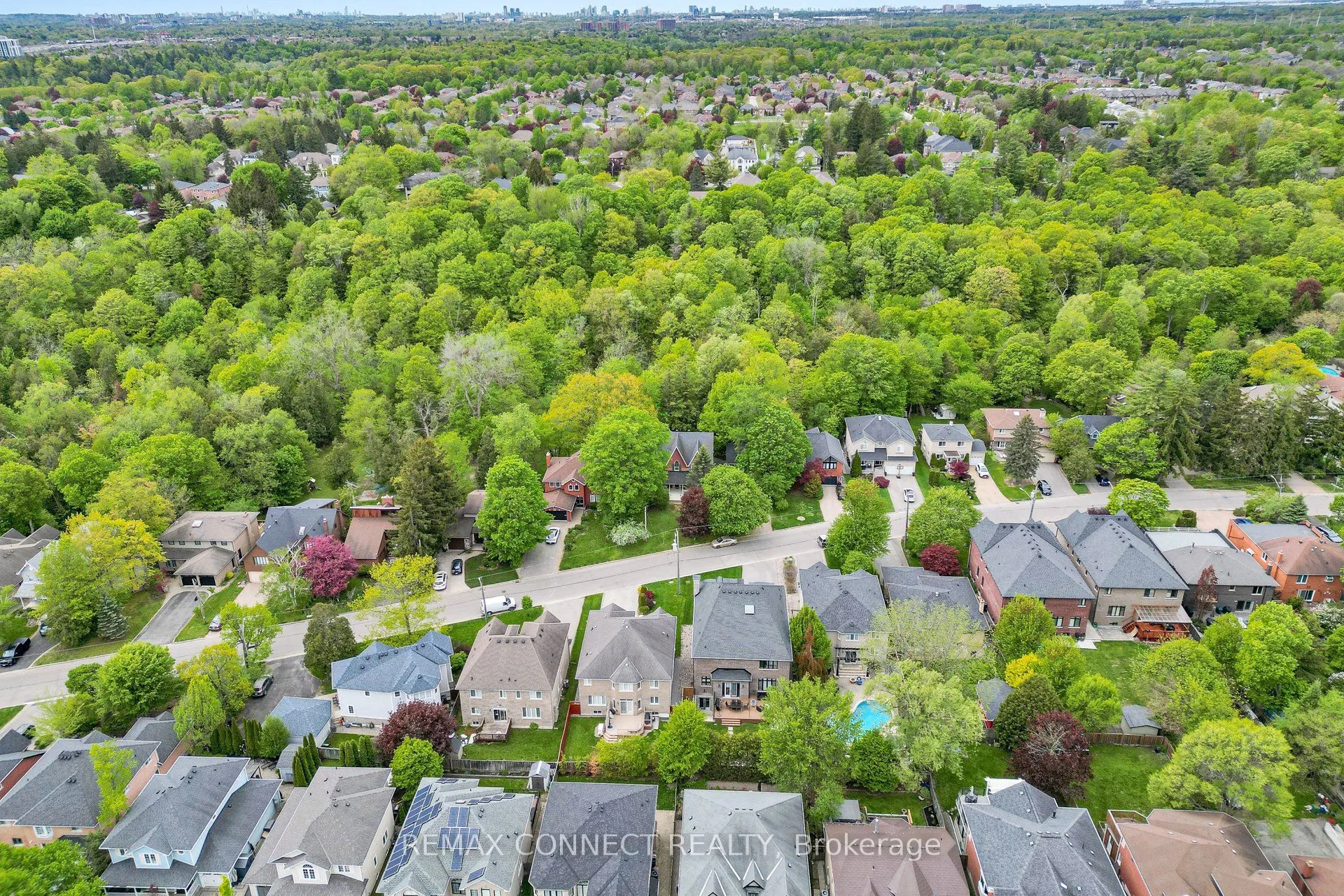 1436 Highbush Trail