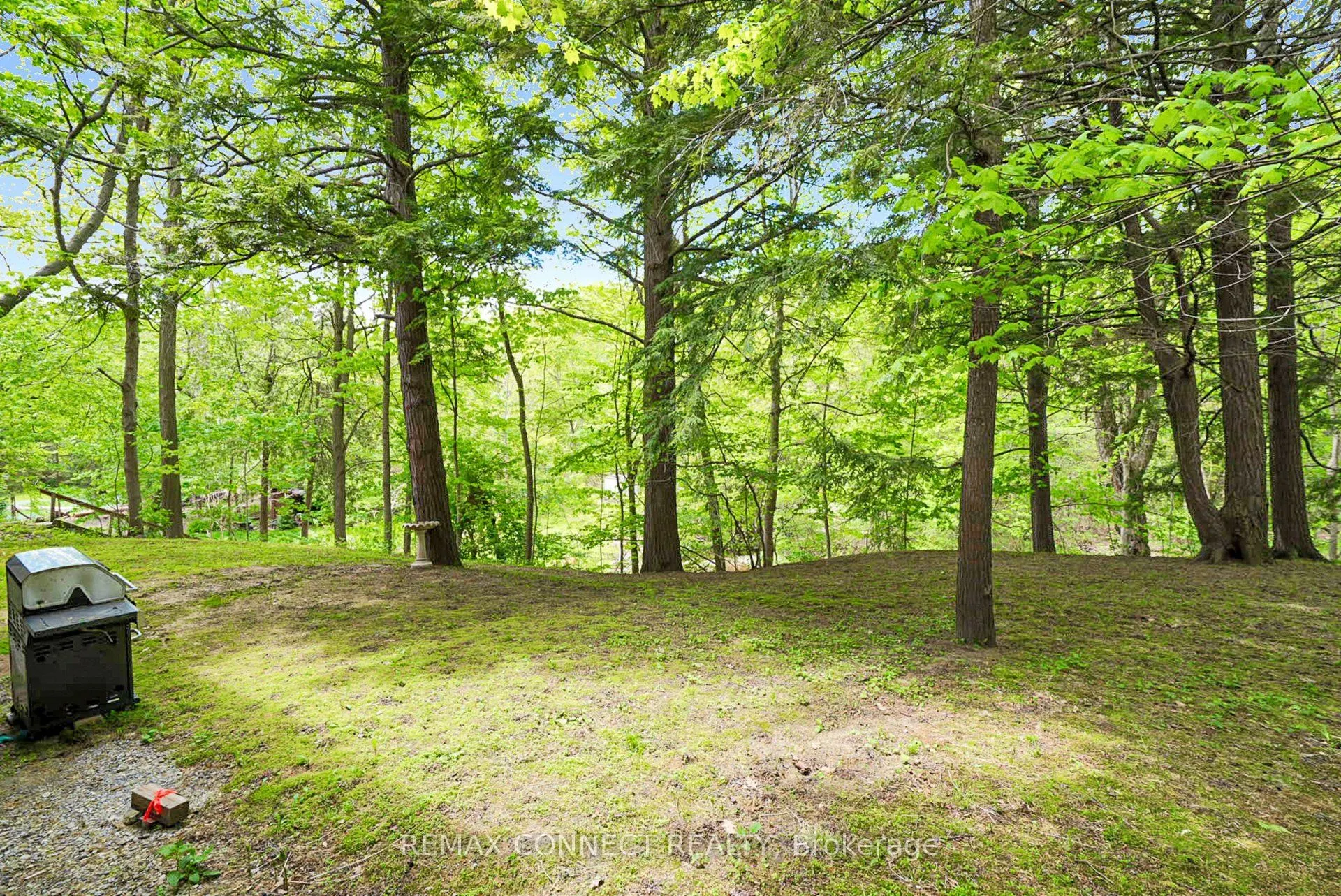 1436 Highbush Trail