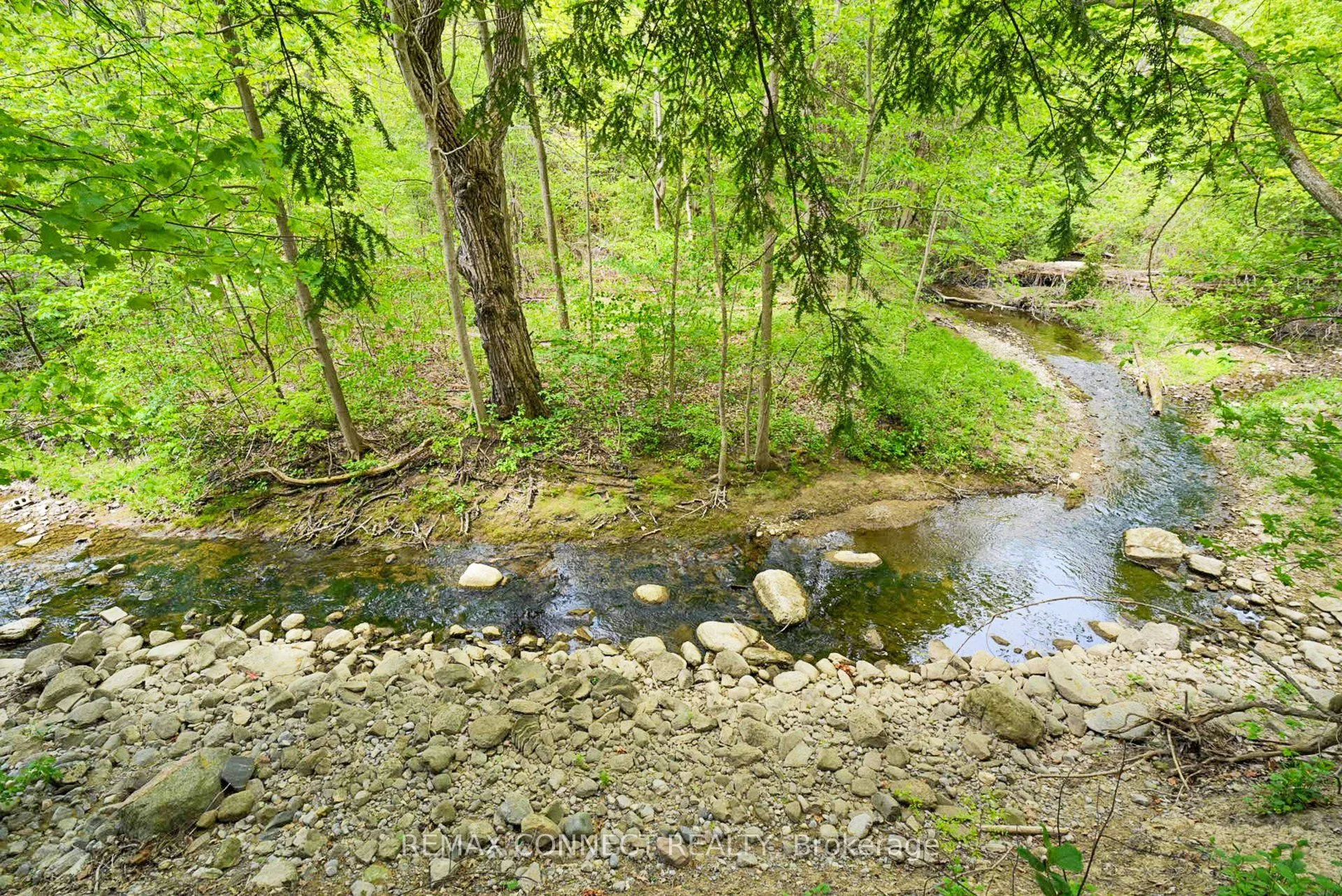 1436 Highbush Trail