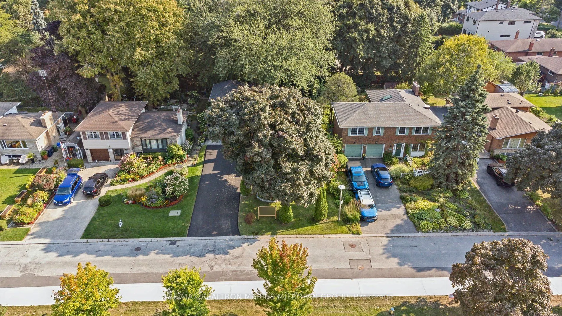 21 Toynbee Trail