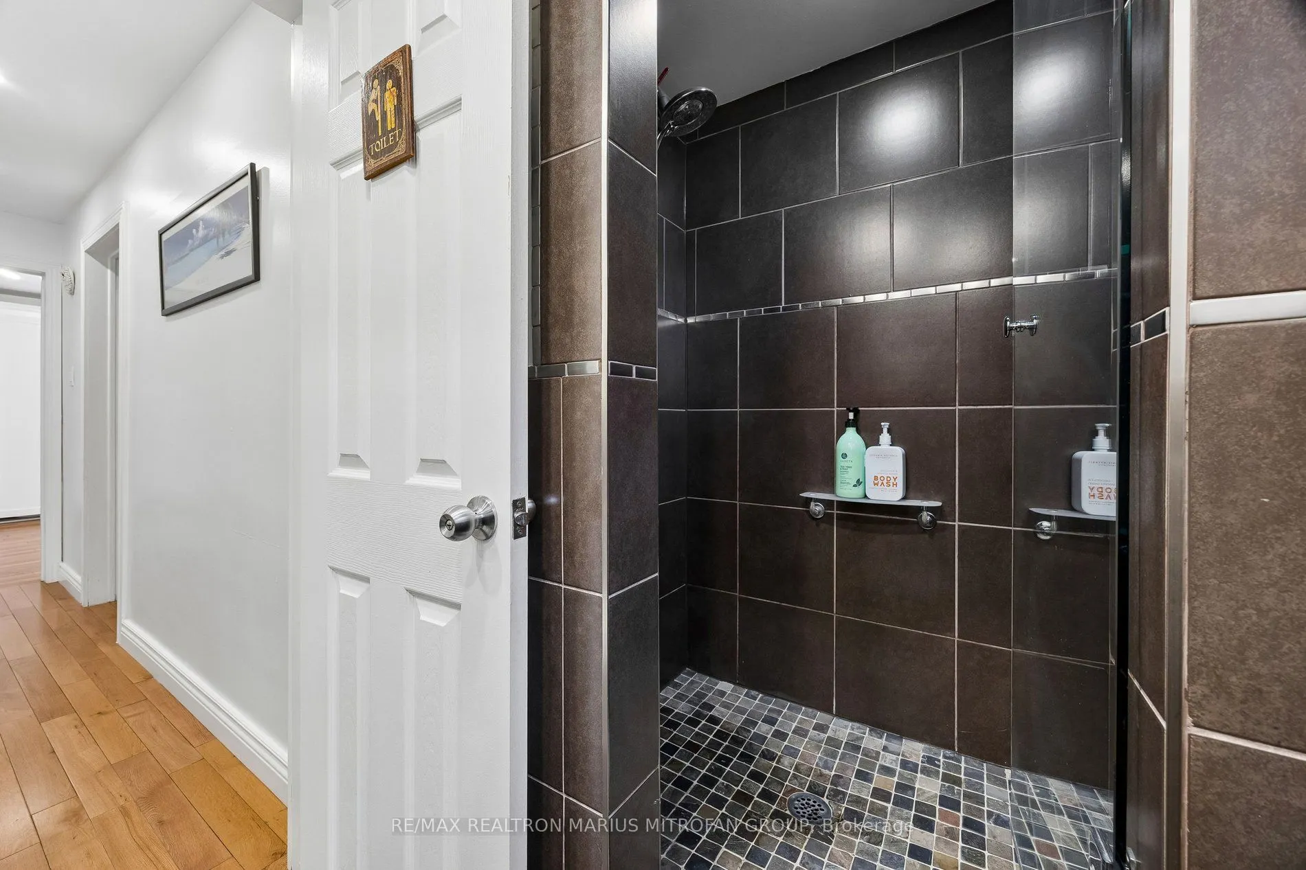 21 Toynbee Trail