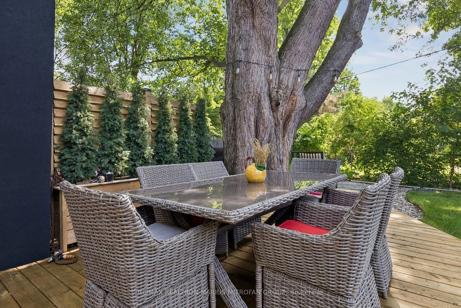 21 Toynbee Trail