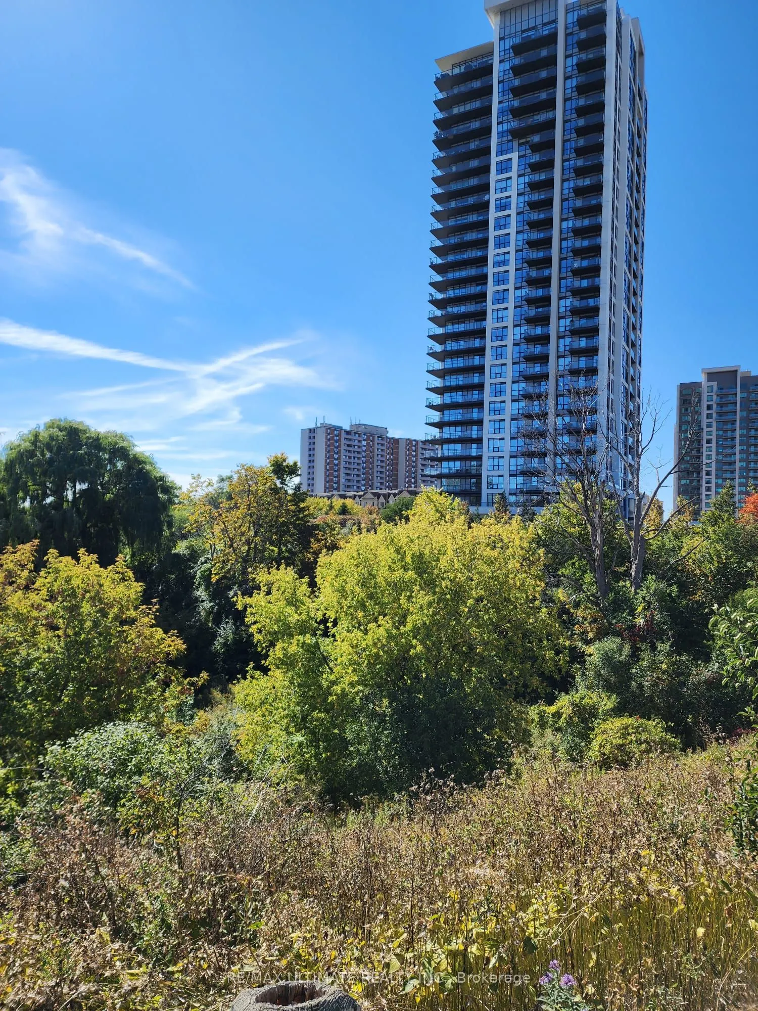 1255 Bayly Street #1703