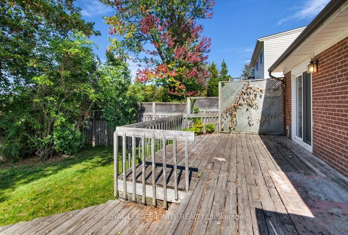 76 Celeste Drive