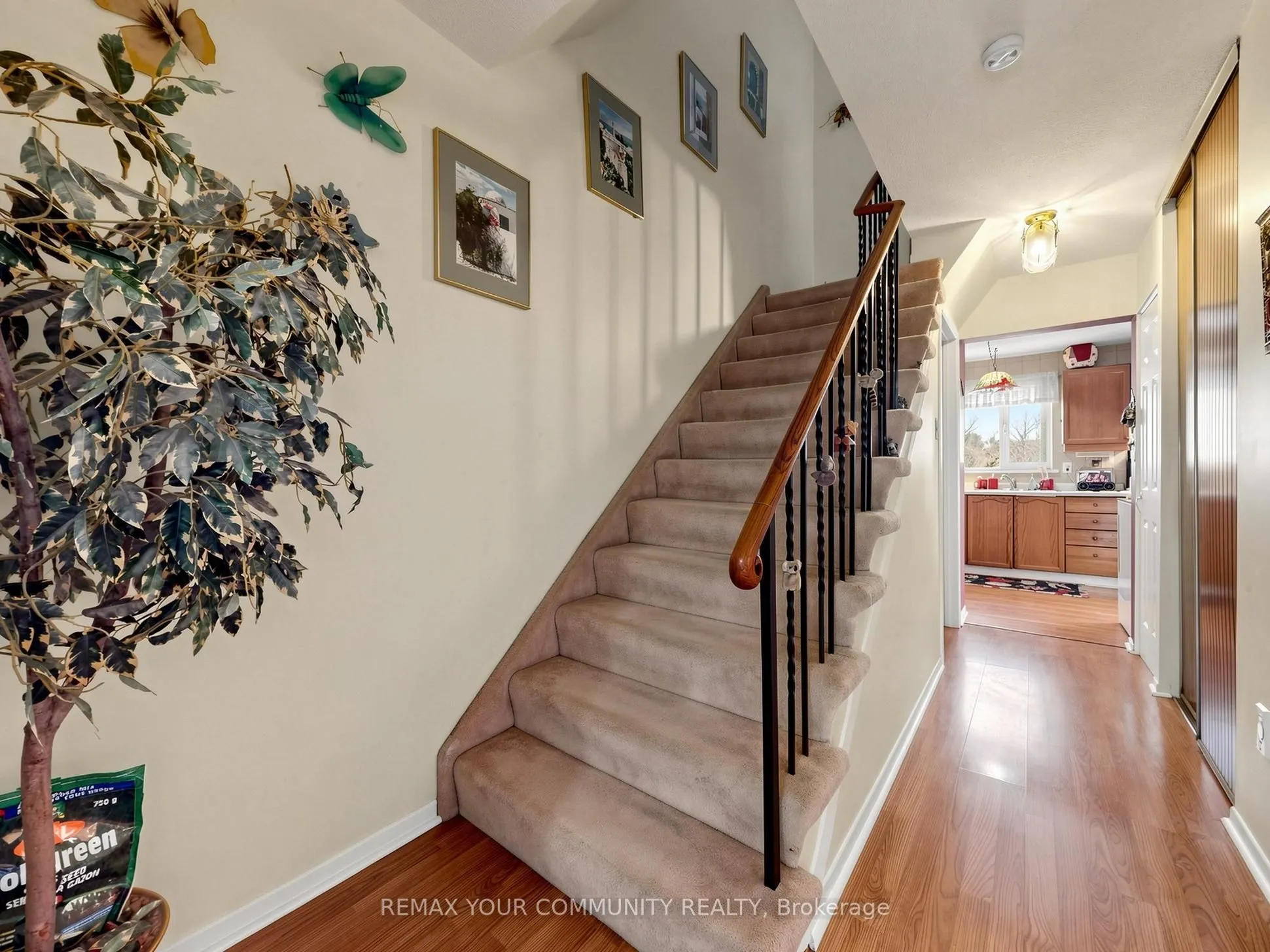 12 Jacques Lane #6