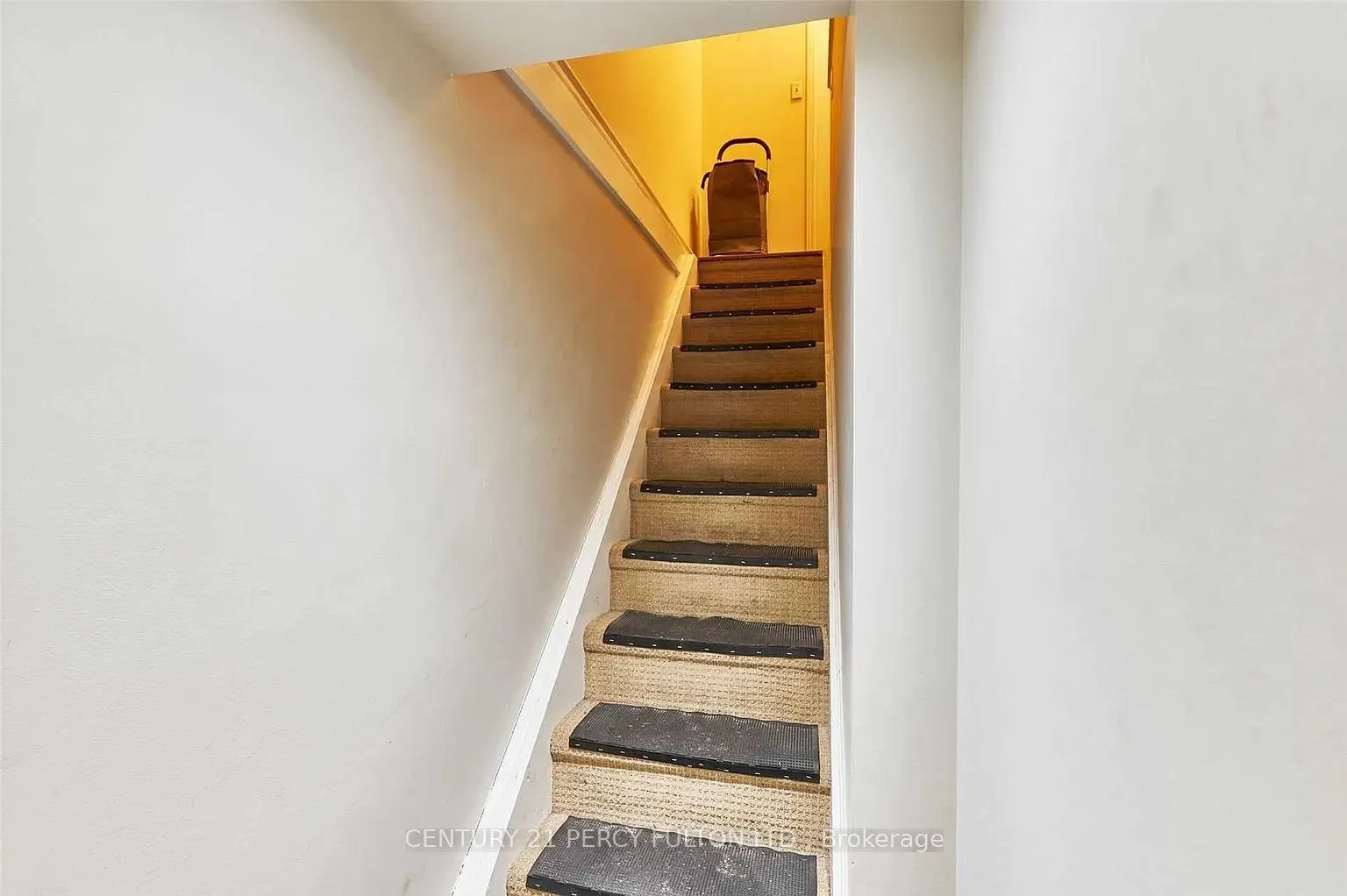 10 Muriel Avenue #Lower