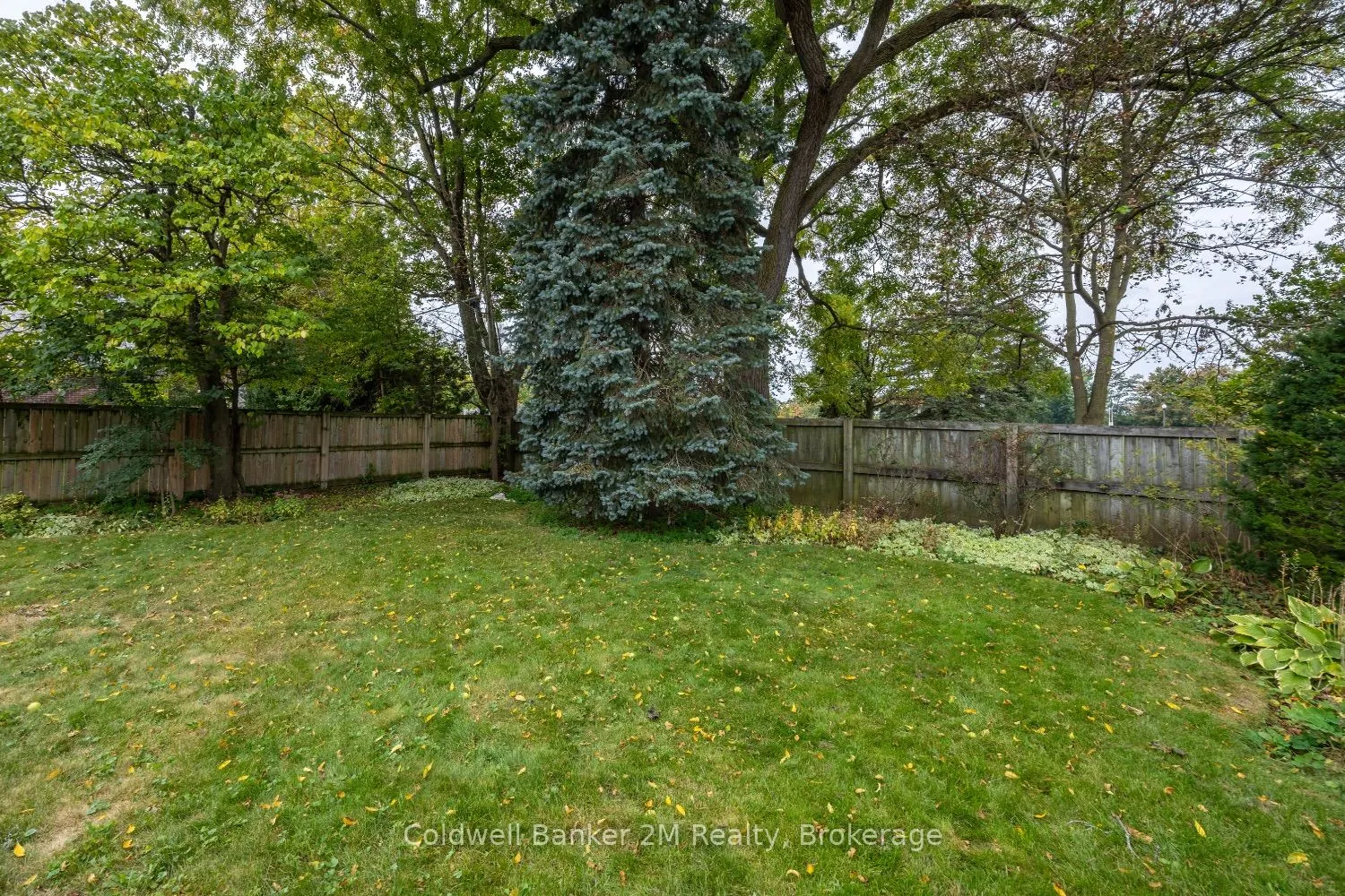 408 Simcoe Street N