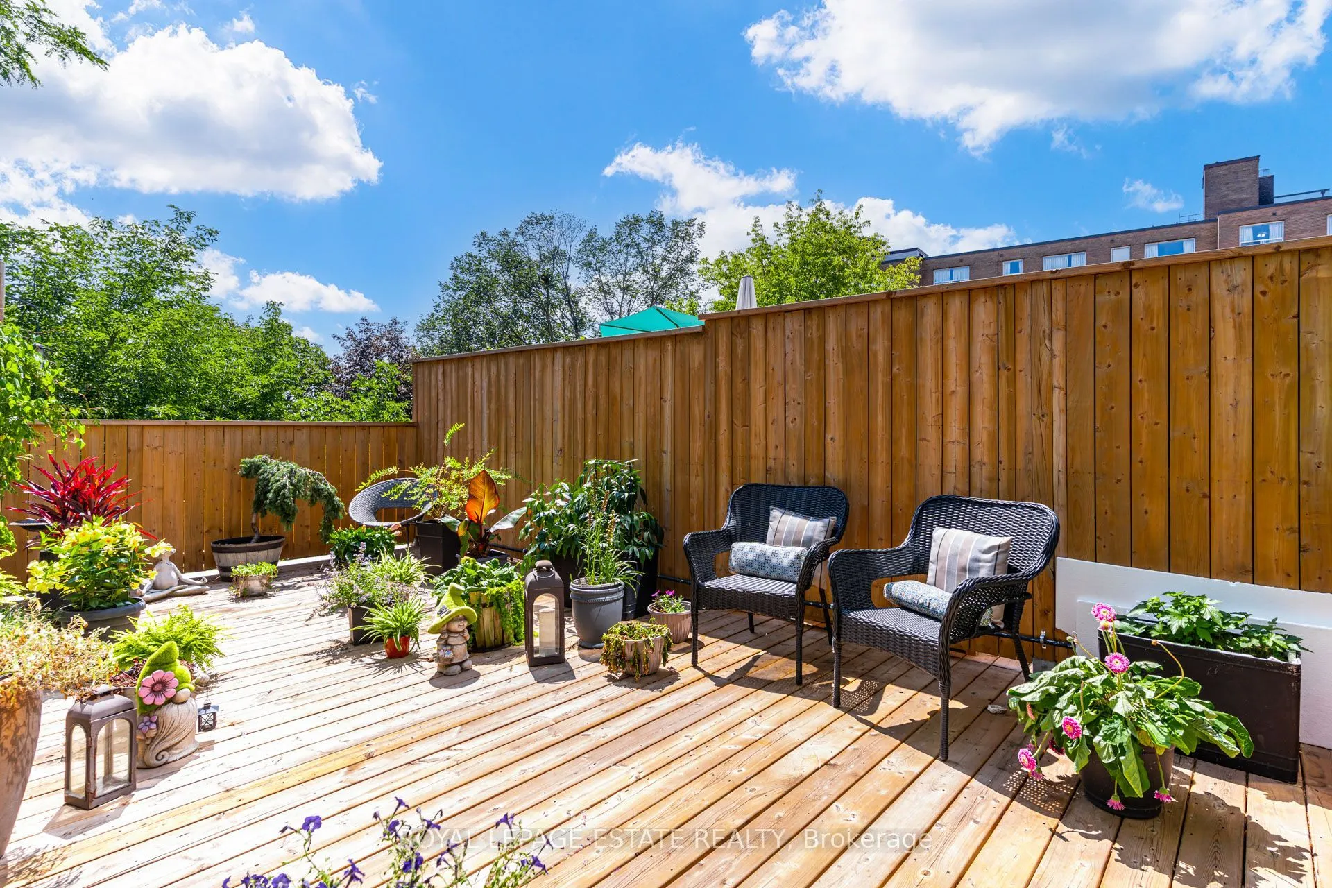 517 Kingston Road #6