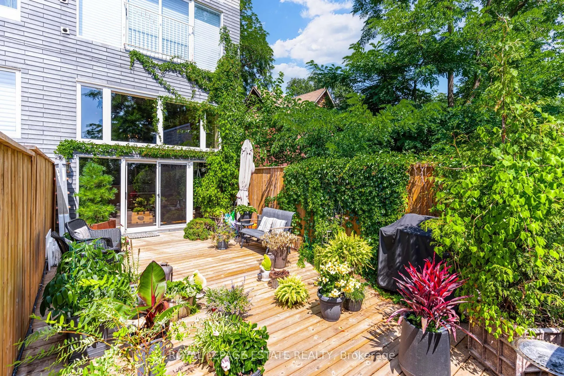 517 Kingston Road #6