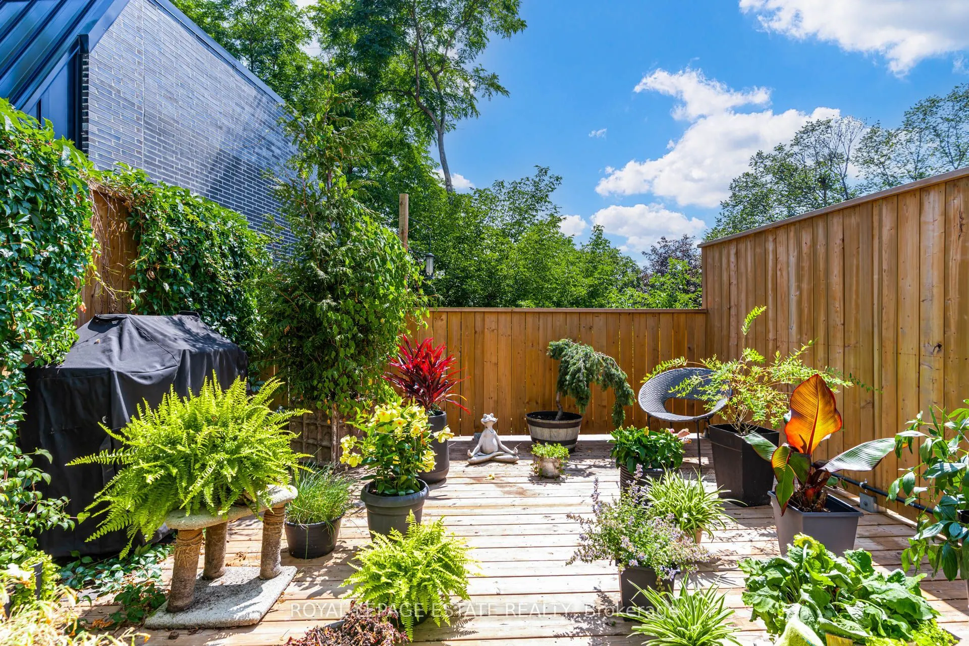 517 Kingston Road #6