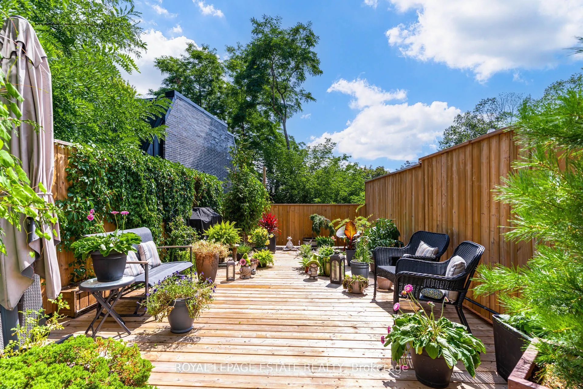 517 Kingston Road #6