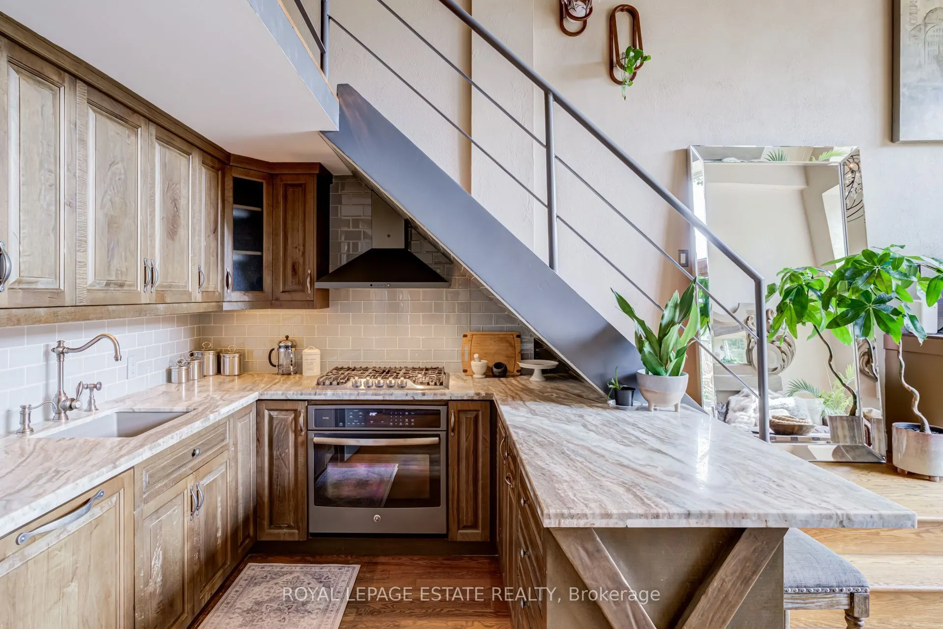 517 Kingston Road #6