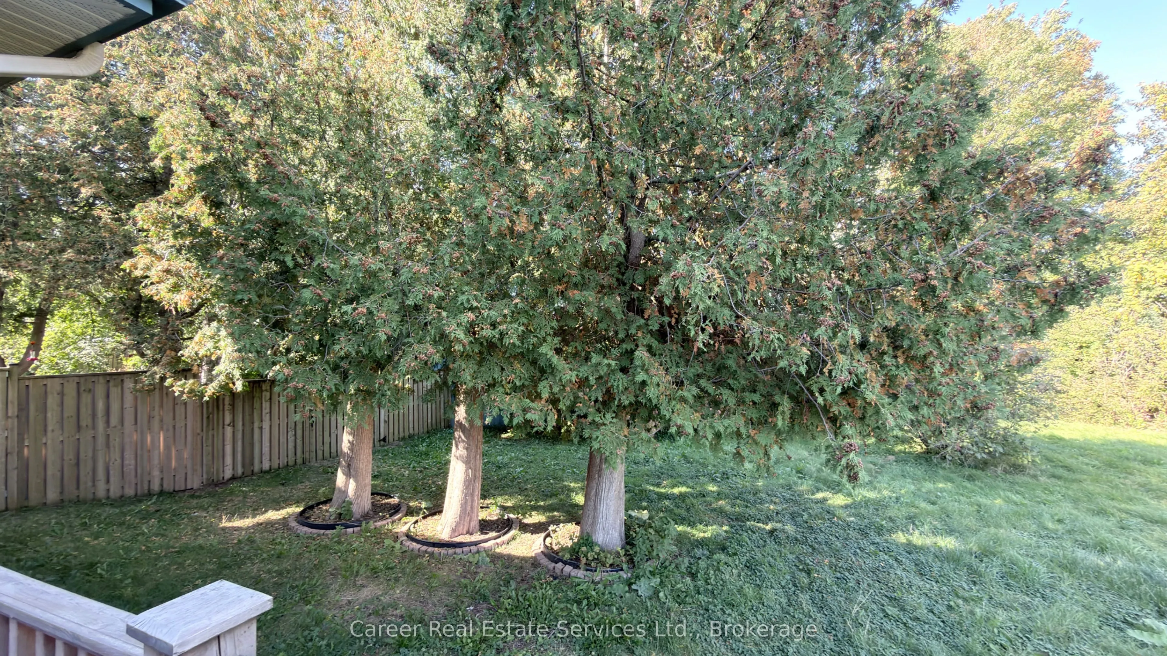 995 Cedar Street