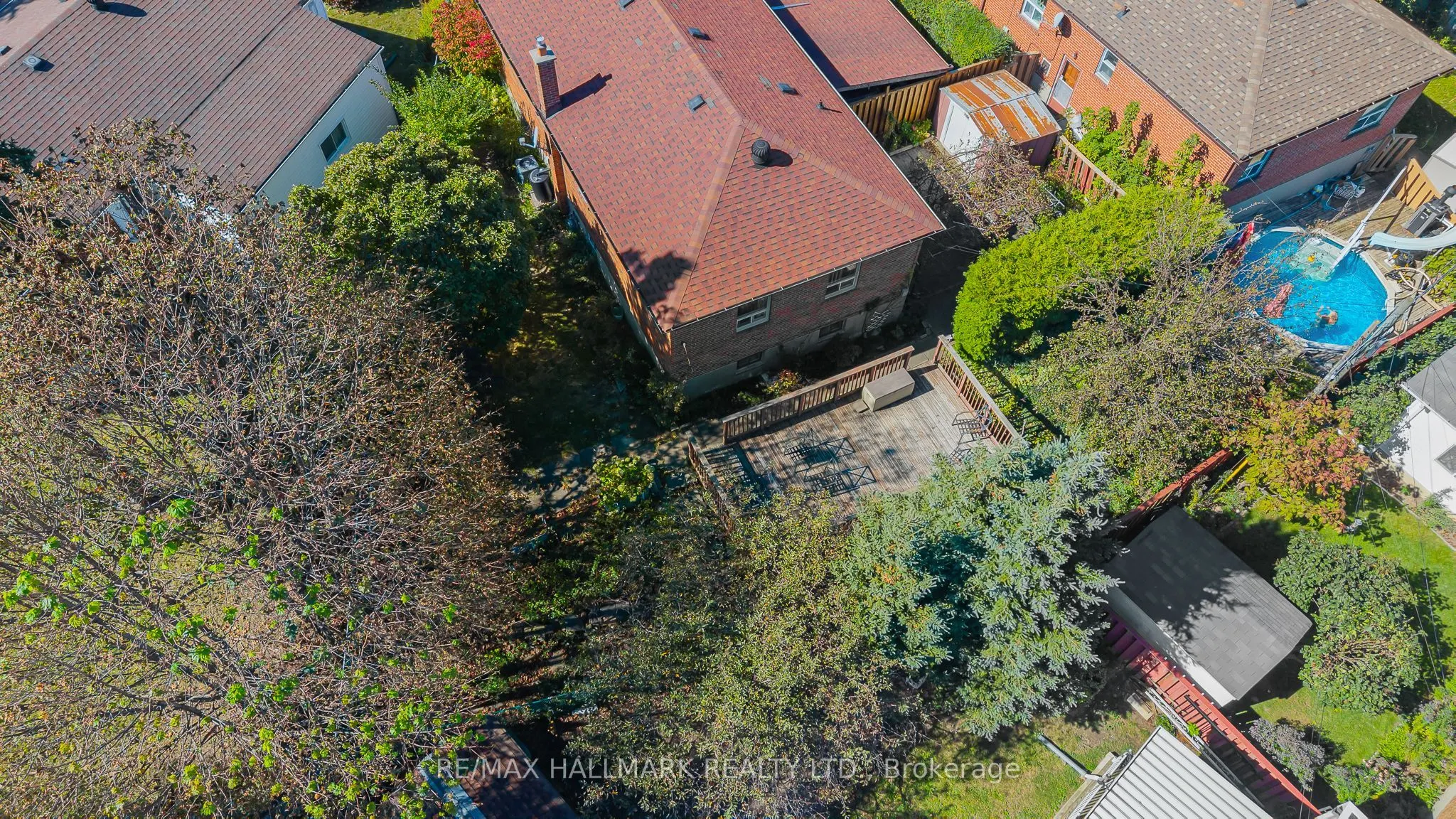 3 Armada Court