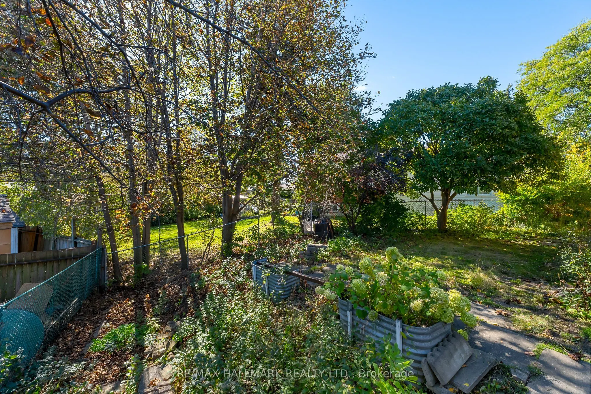 3 Armada Court