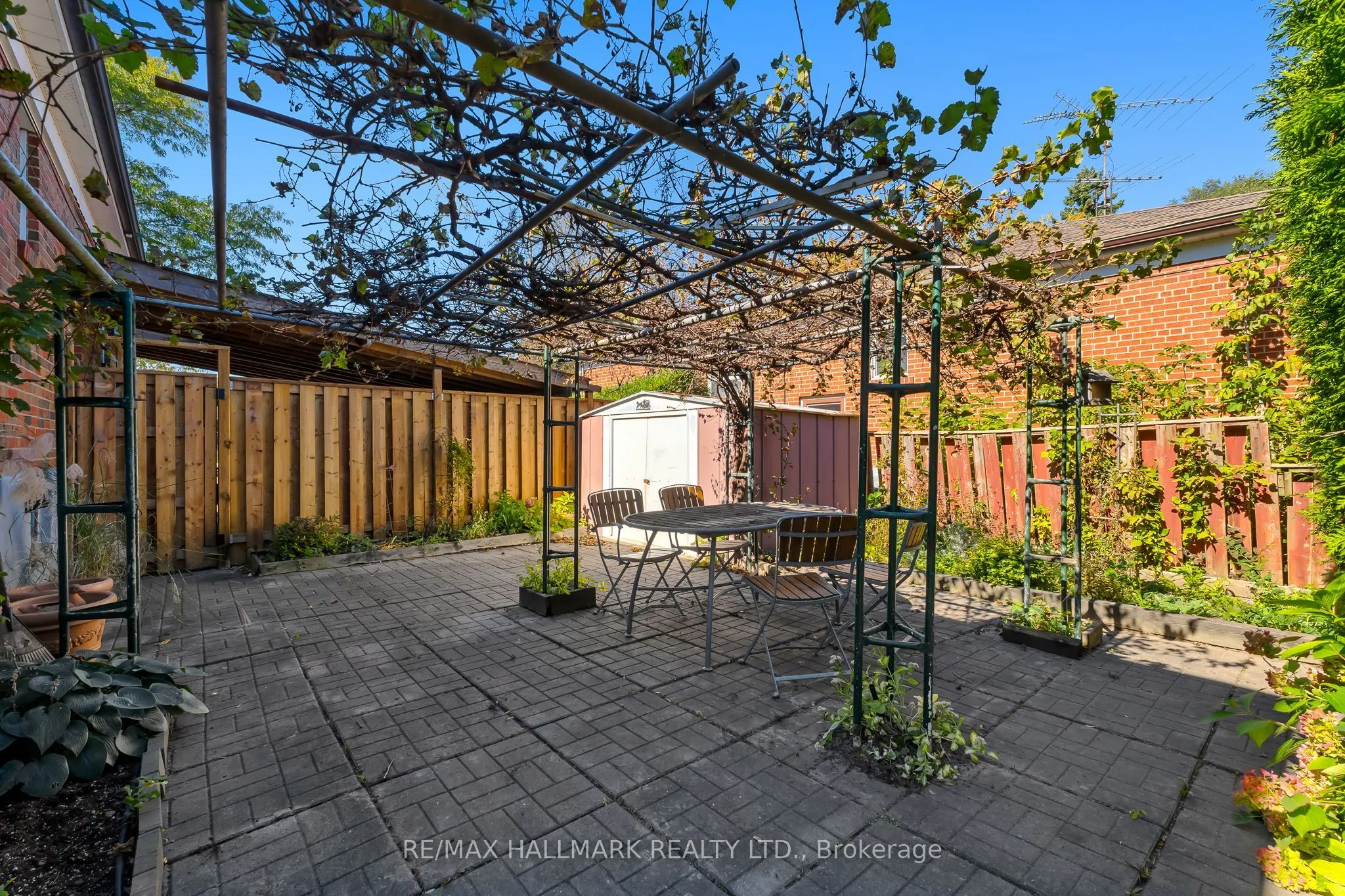 3 Armada Court