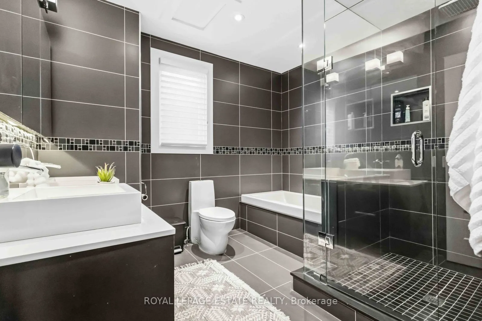 81 Courcelette Road