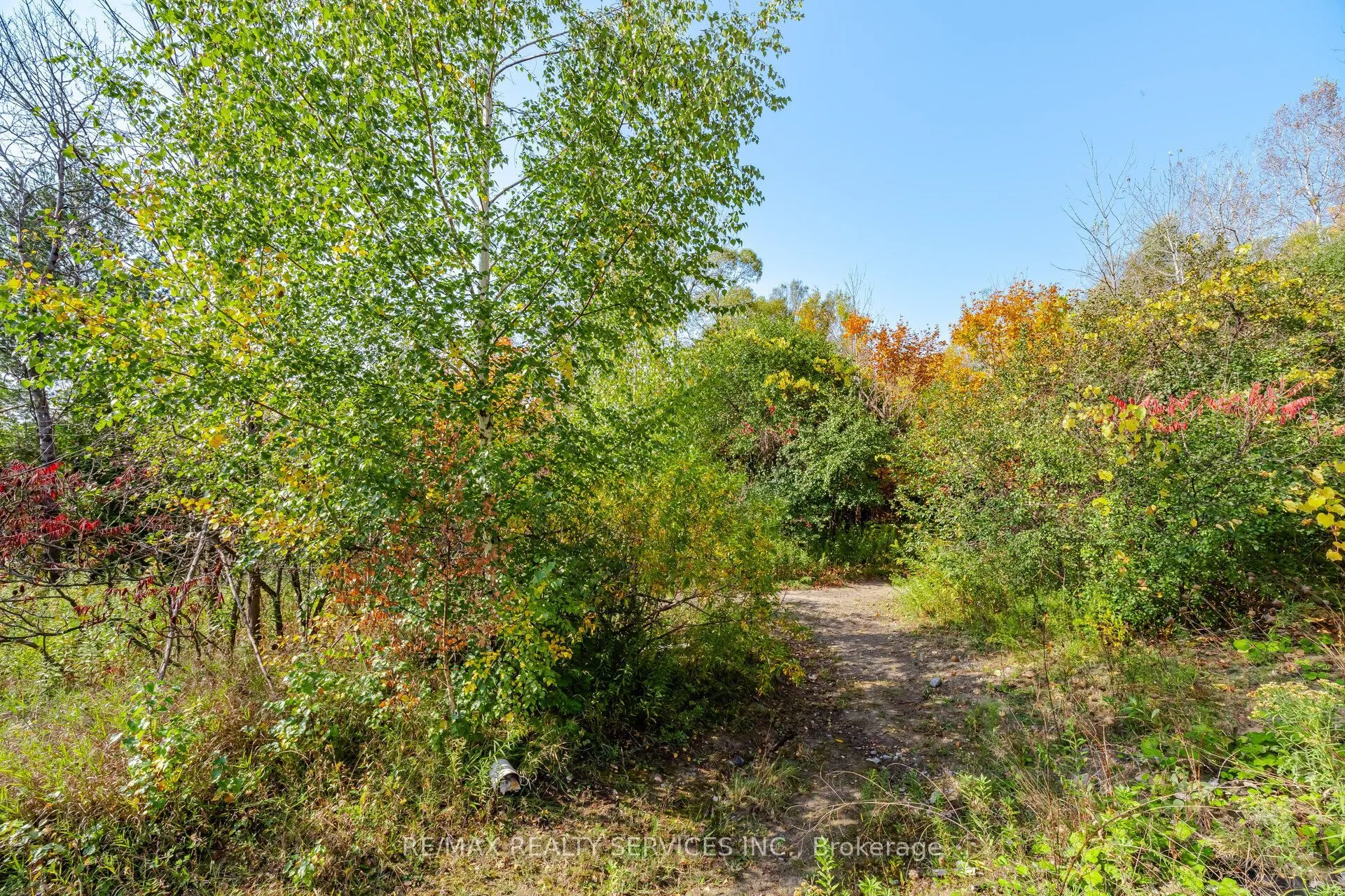 1221 Jim Brewster Circle
