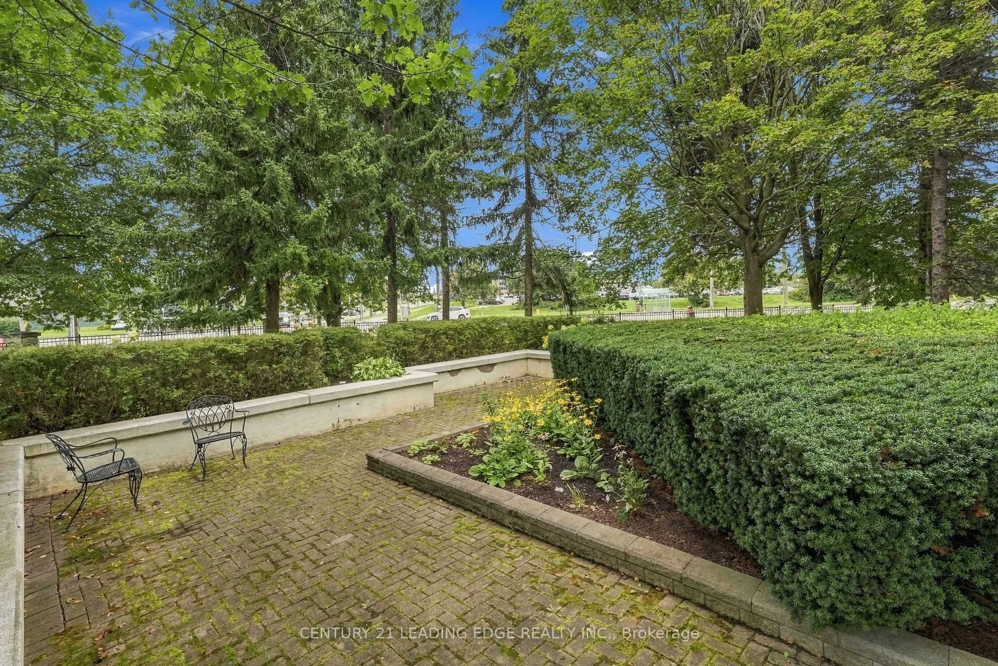 360 Watson Street W #611