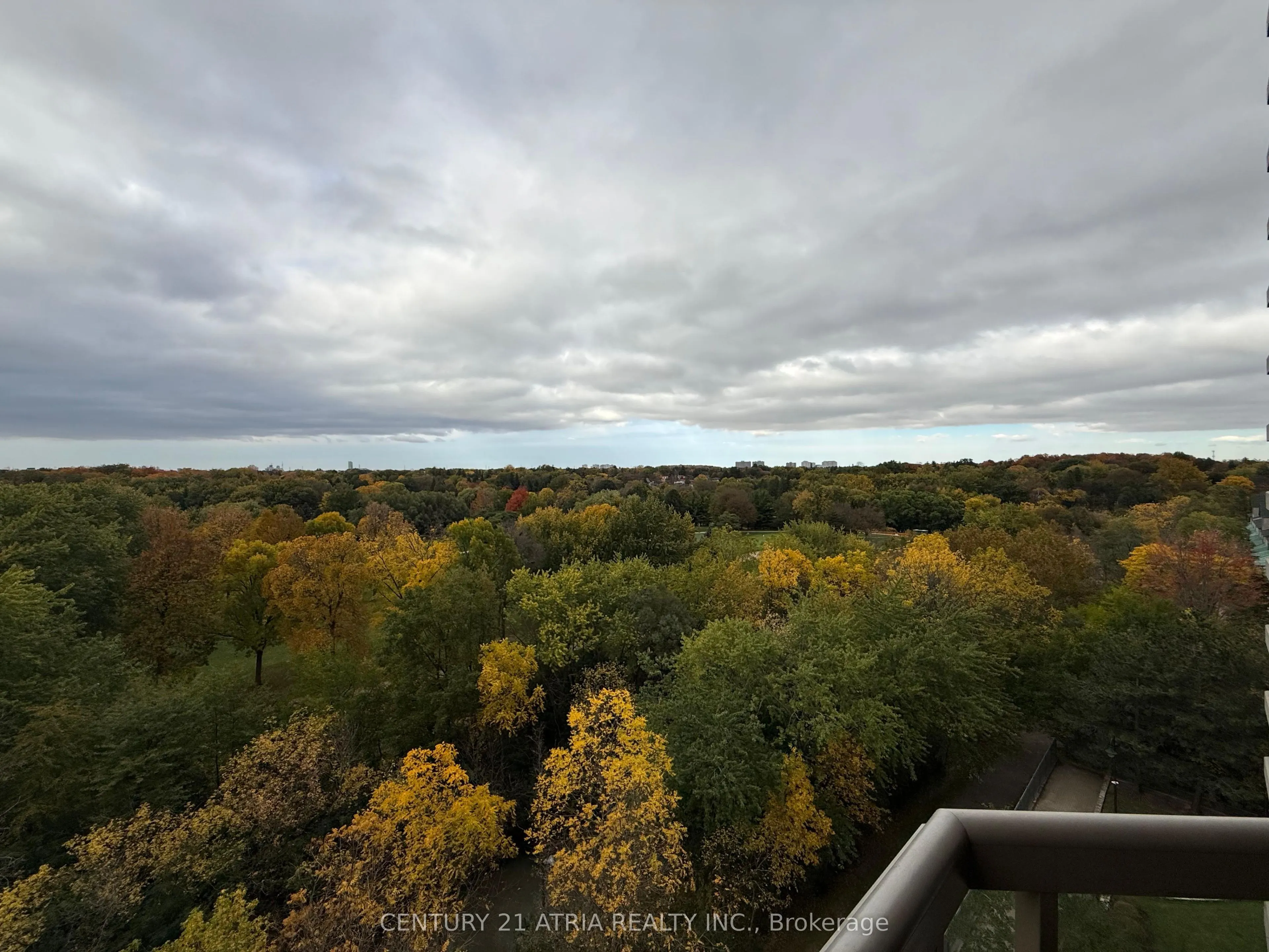 168 Bonis Avenue #809