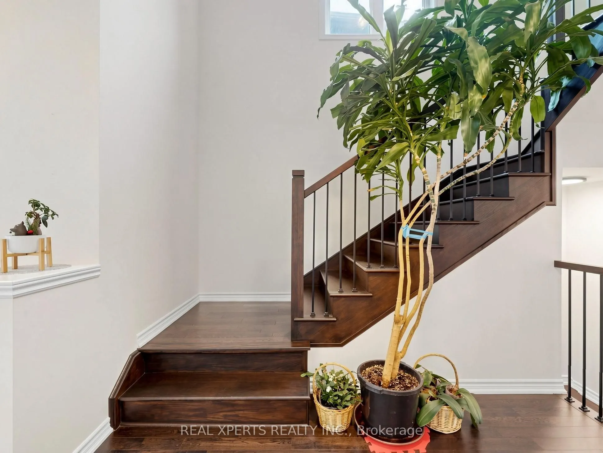 1129 Cameo Street