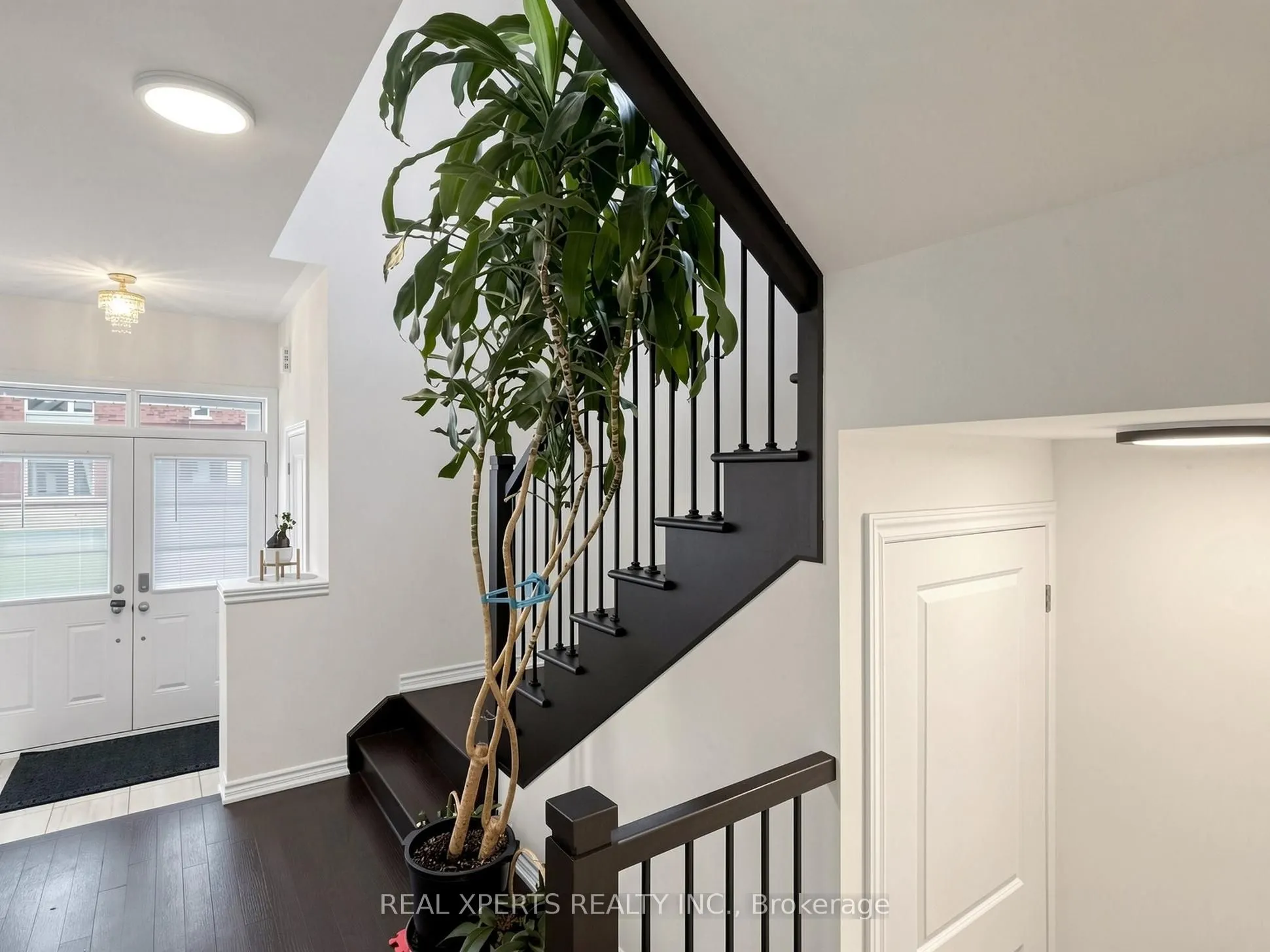 1129 Cameo Street