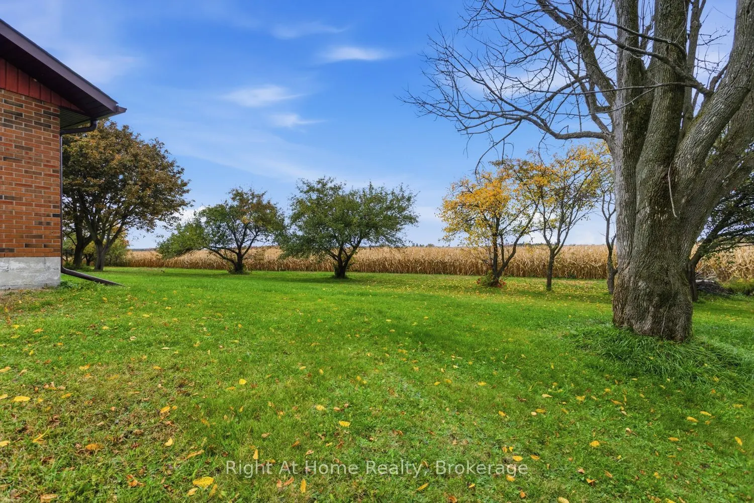 10651 Old Scugog Road