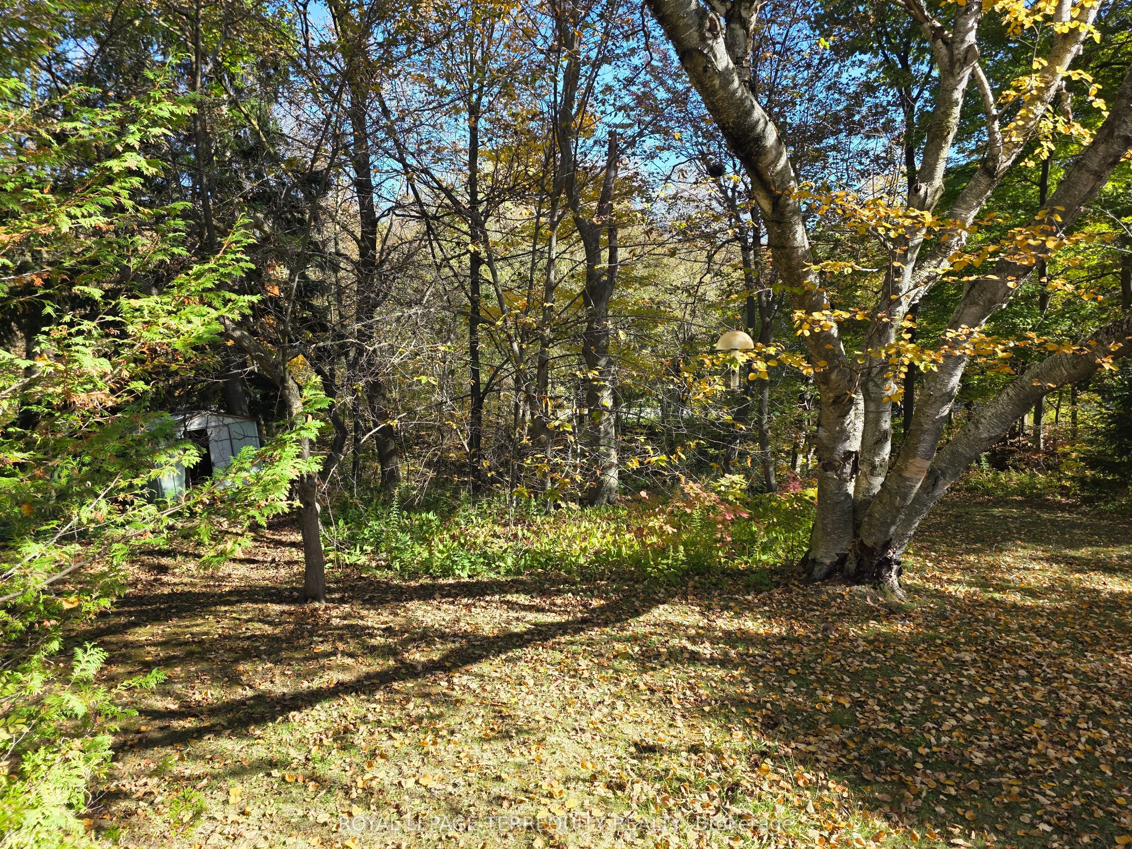 107 Cliffcrest Drive