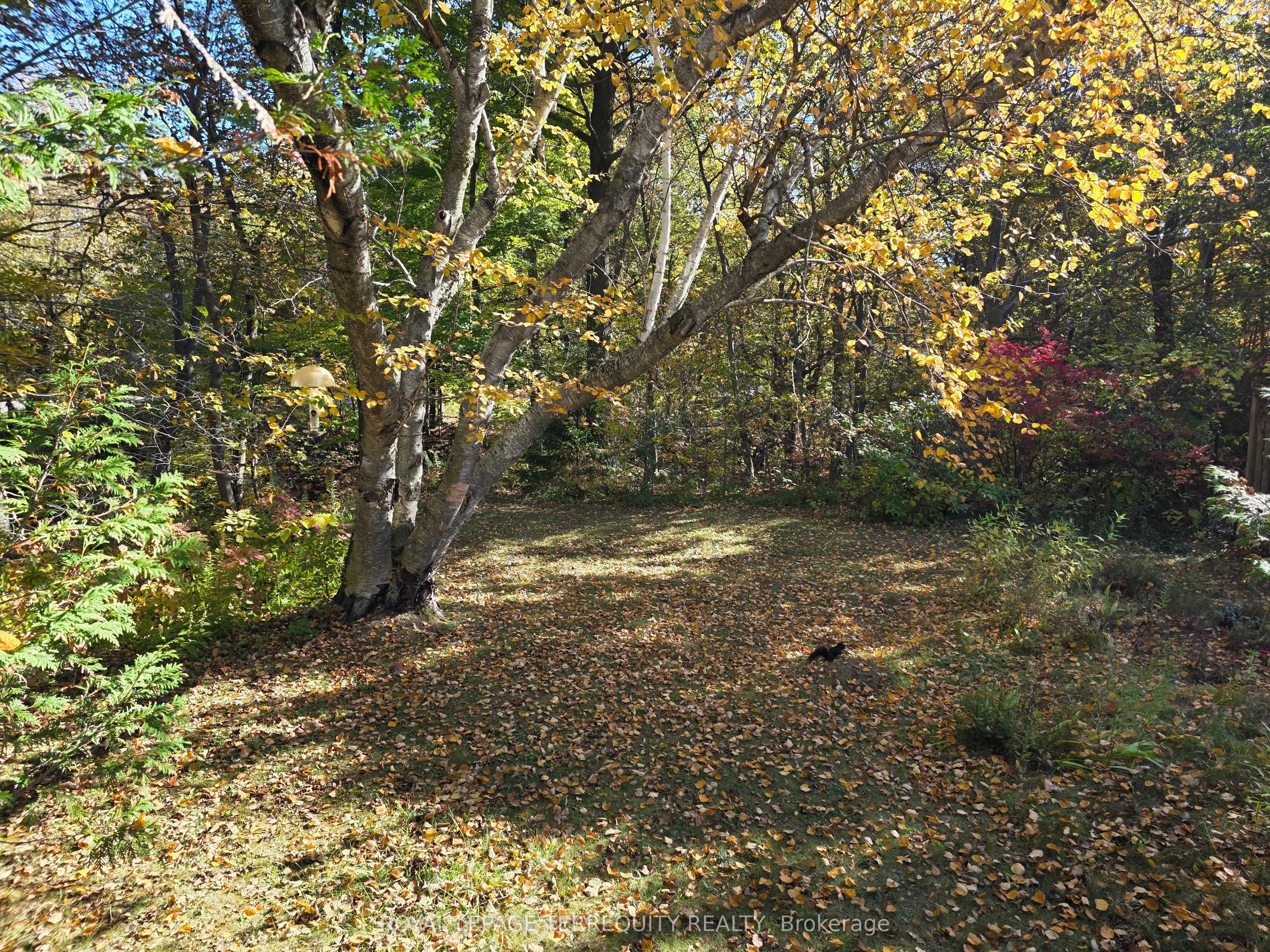 107 Cliffcrest Drive