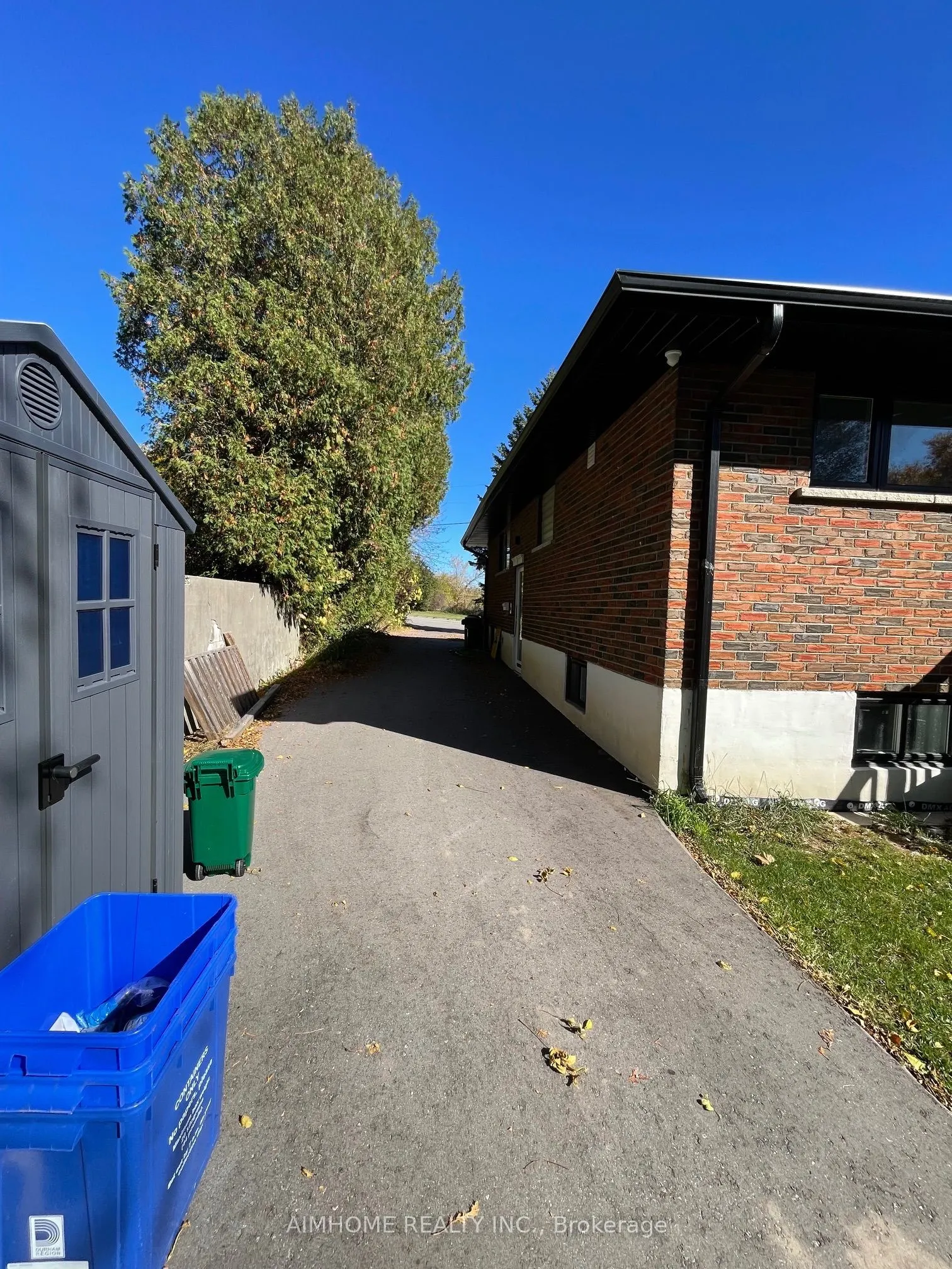 1162 Nelson Street #Basement