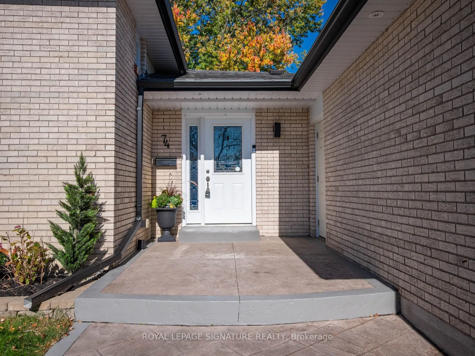 74 Tilley Drive