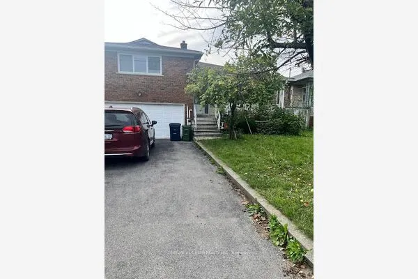566 Pharmacy Avenue #BSMT