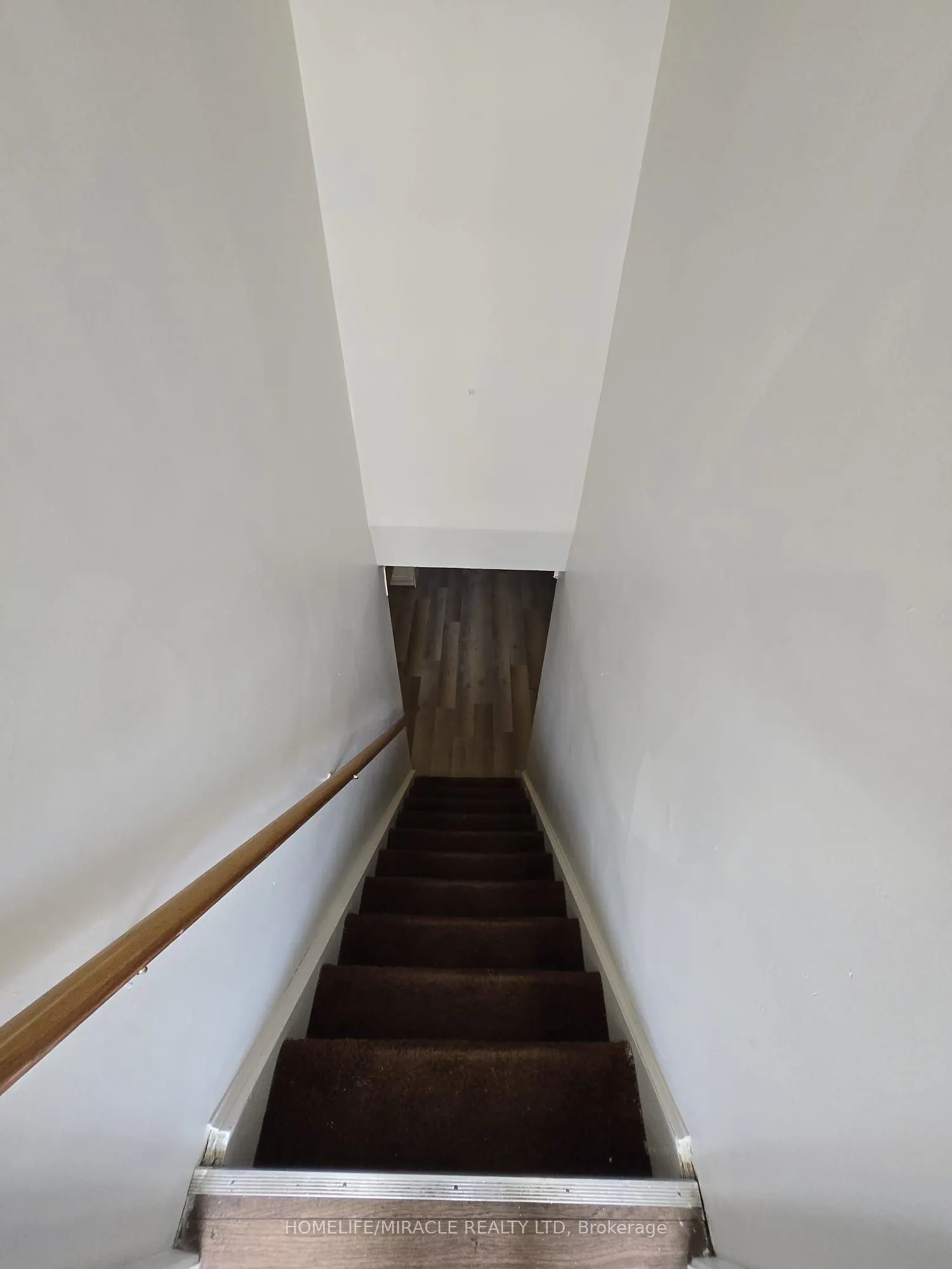 44 Staley Terrace #Basement