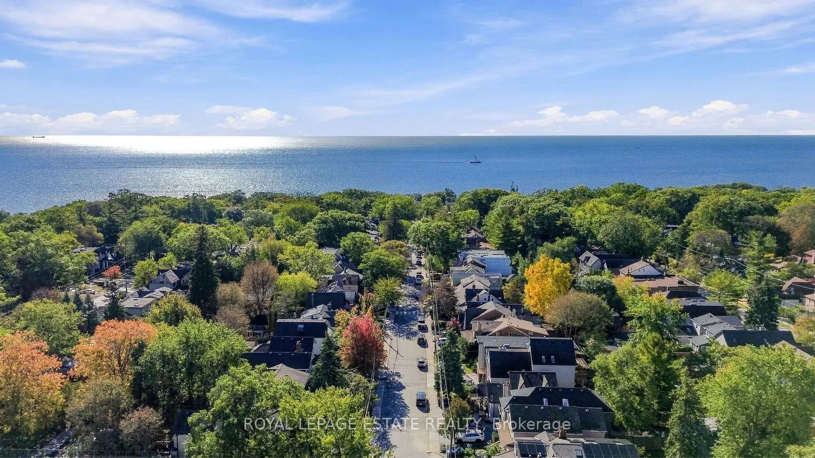 81 Courcelette Road