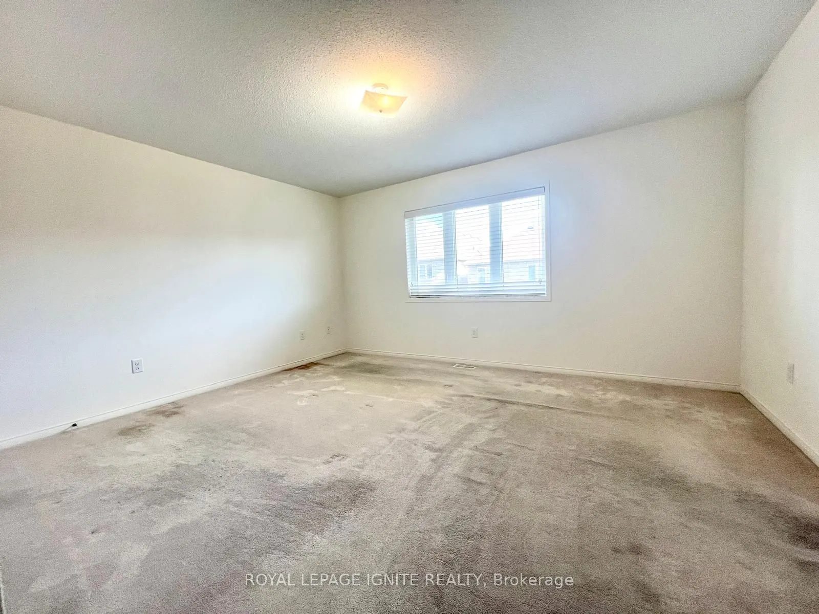 33 Ainsbury Avenue