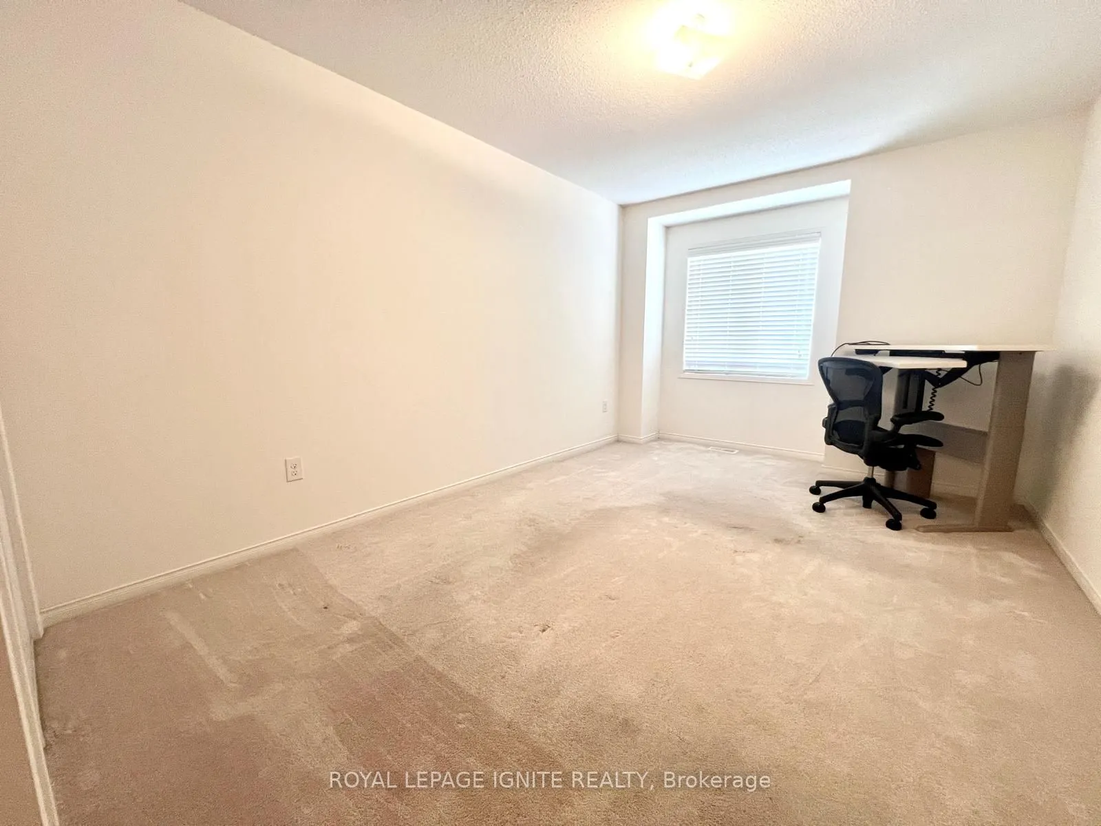 33 Ainsbury Avenue