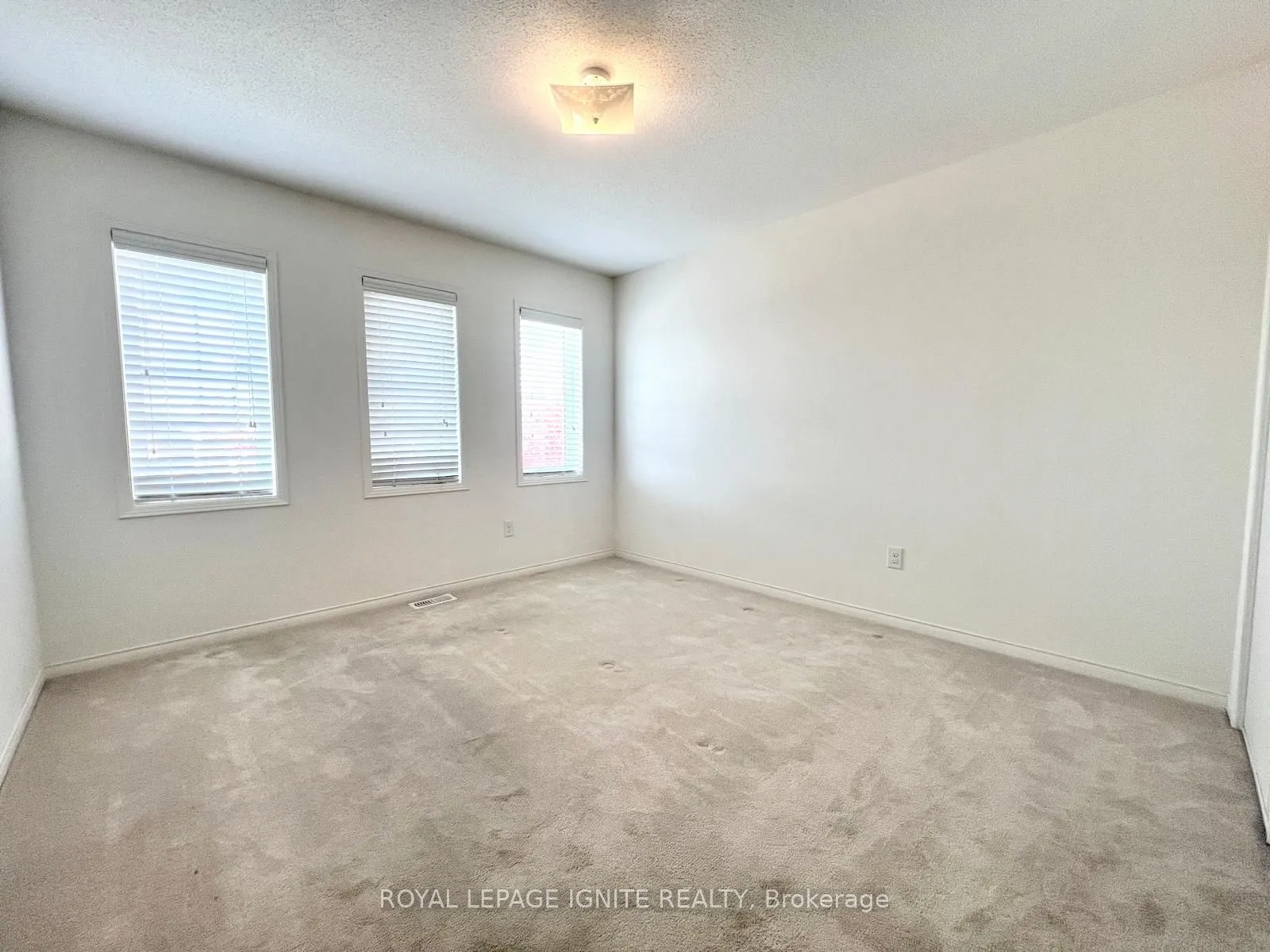 33 Ainsbury Avenue