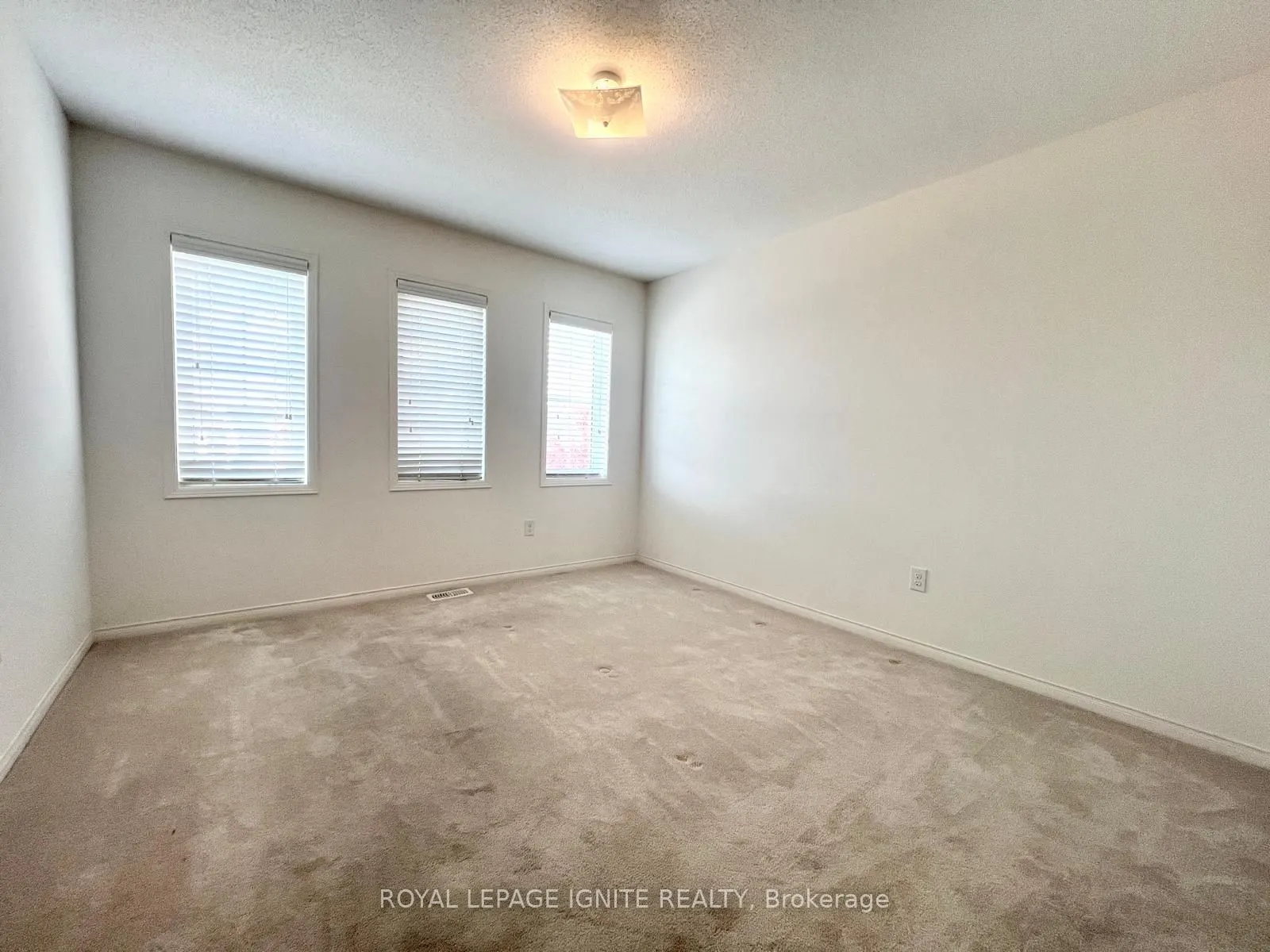 33 Ainsbury Avenue