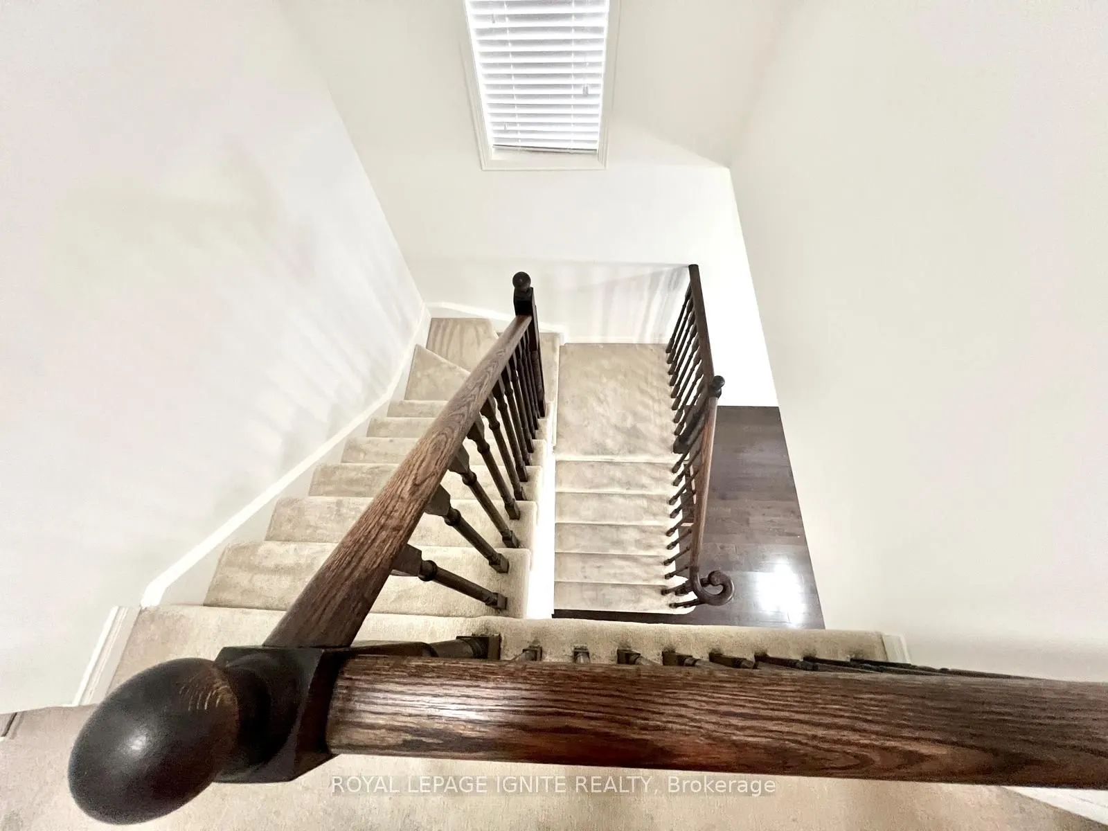 33 Ainsbury Avenue