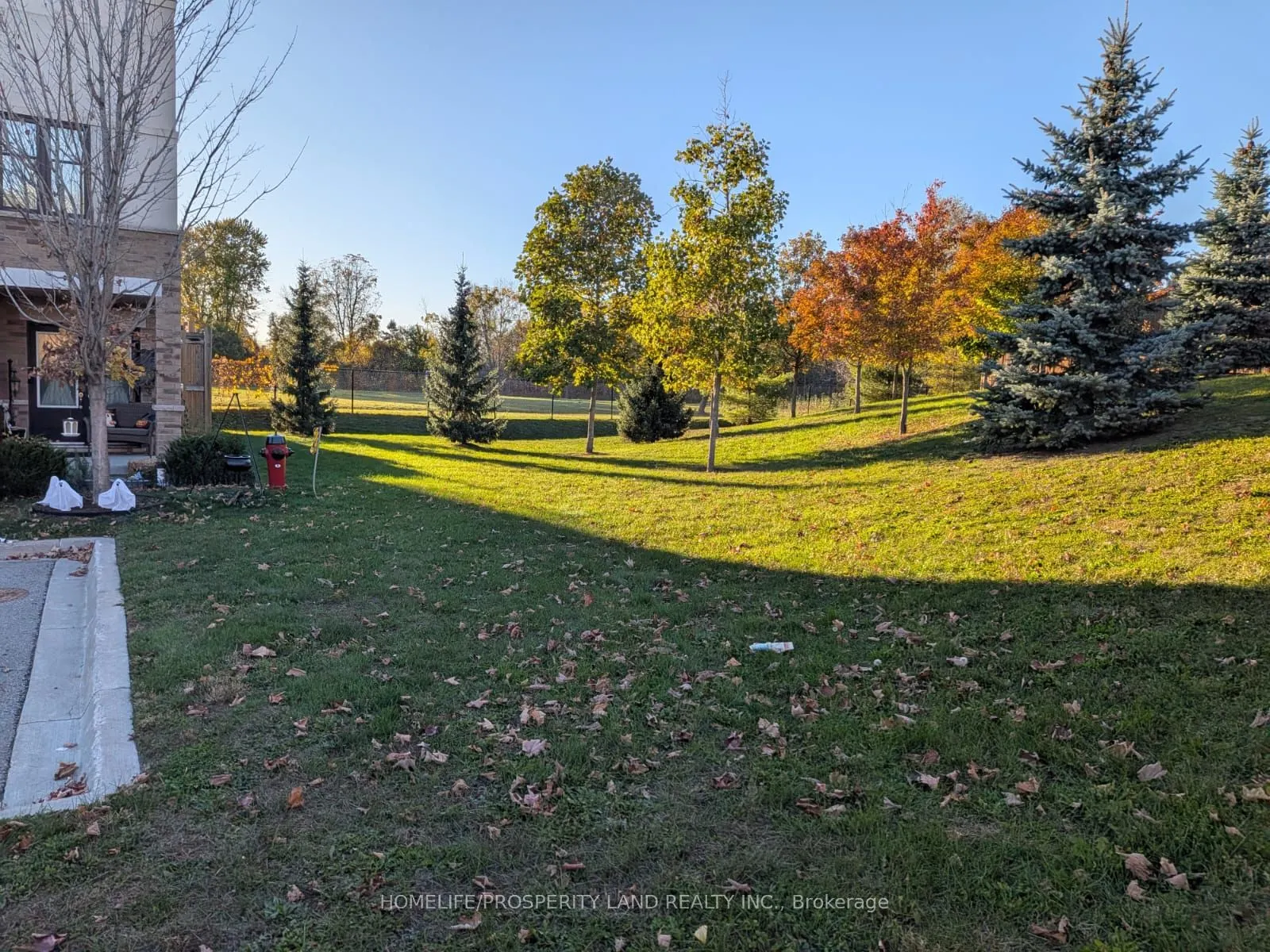 64 Jerseyville Way