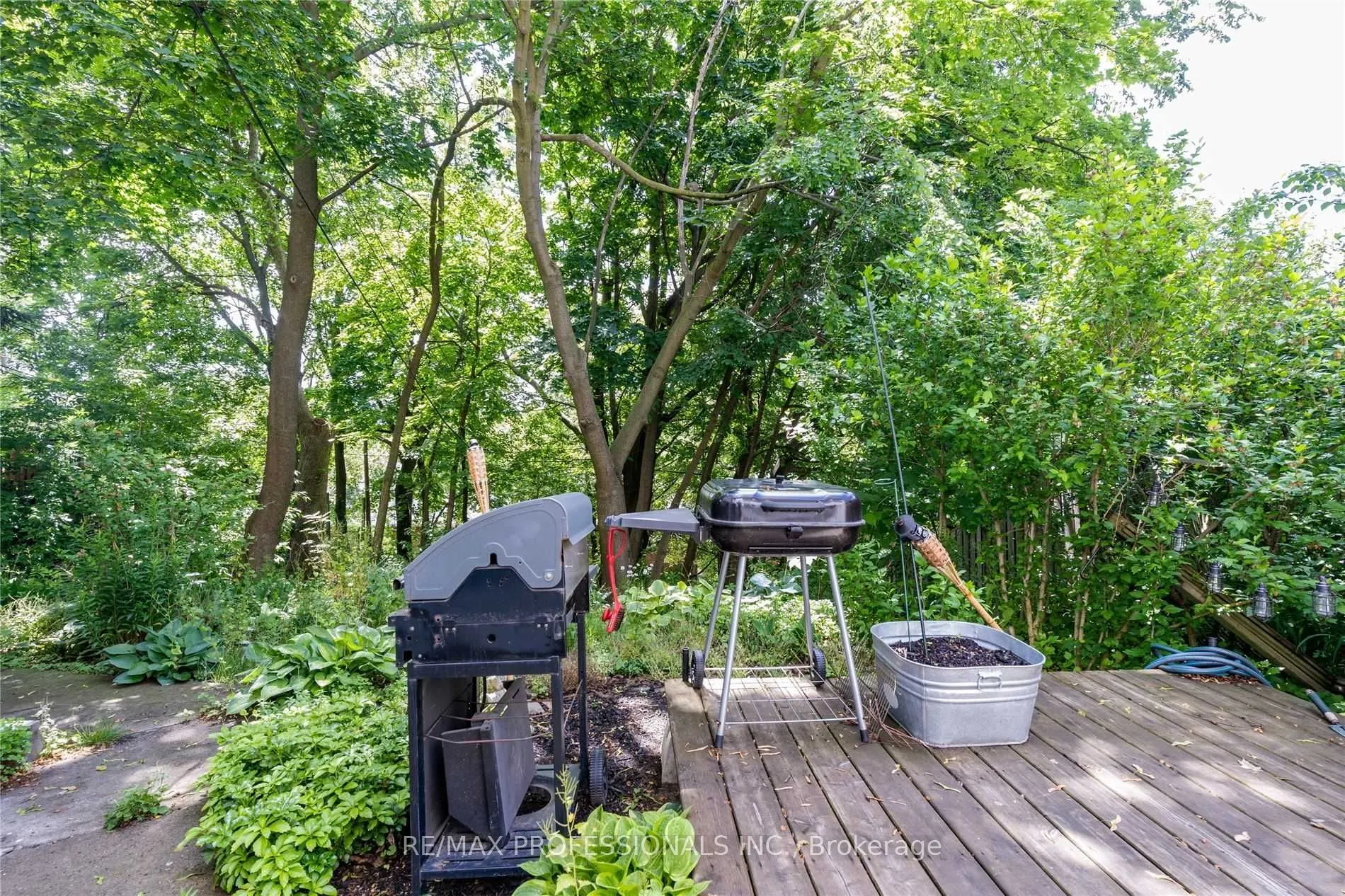 39 Albemarle Avenue #1