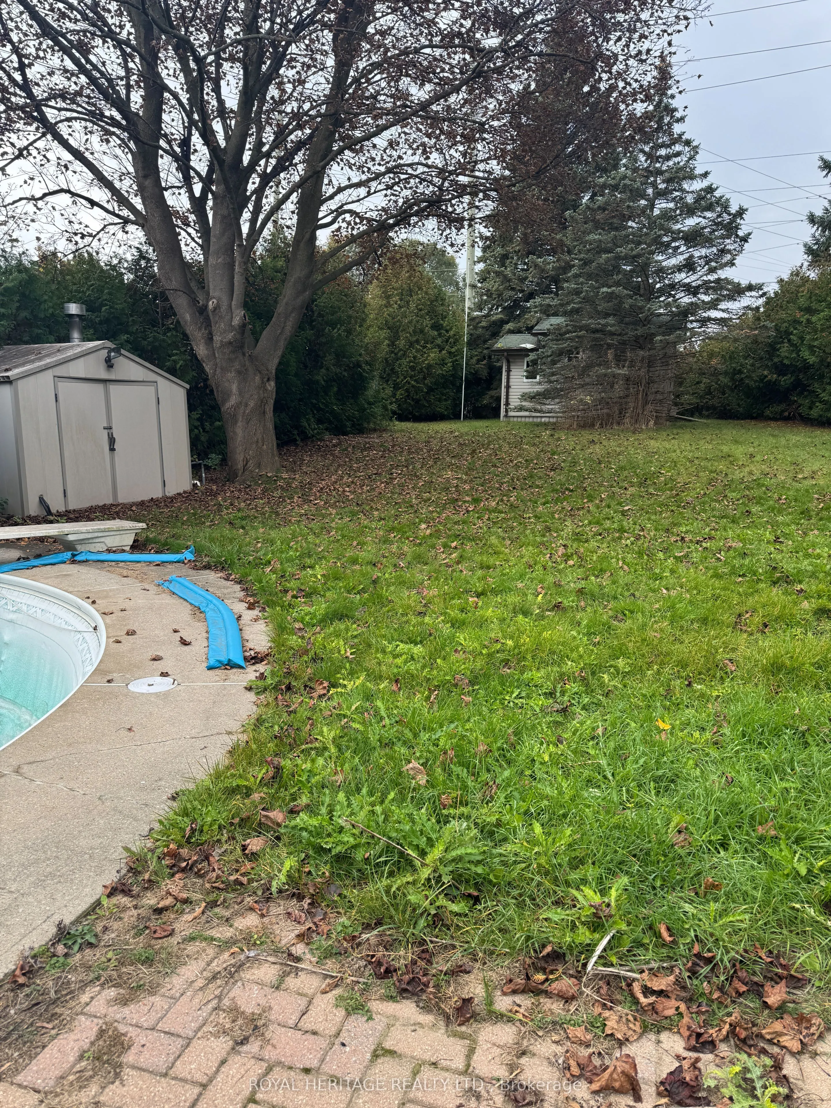 349 Carnaby Court #Main