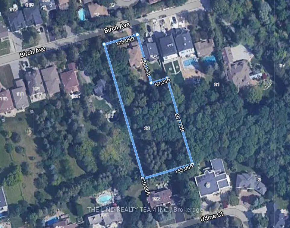 99 Birch Avenue