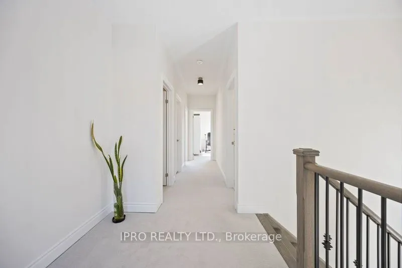99 Black Walnut Court