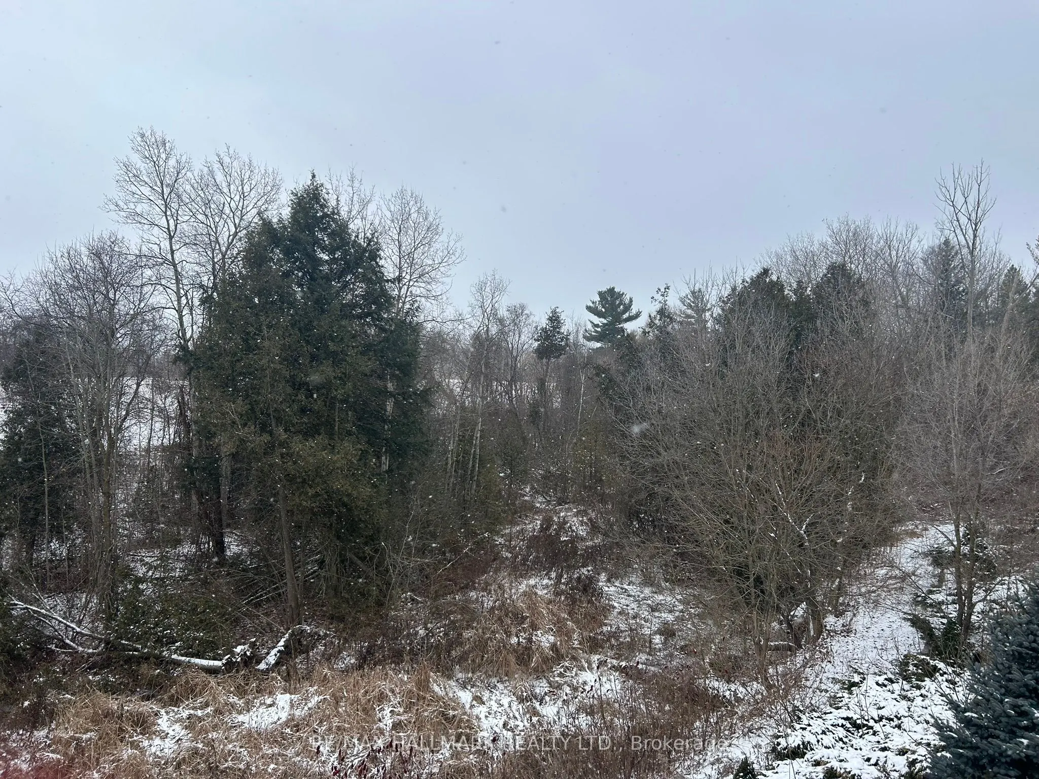 3125 Lloydtown-Aurora Side Road